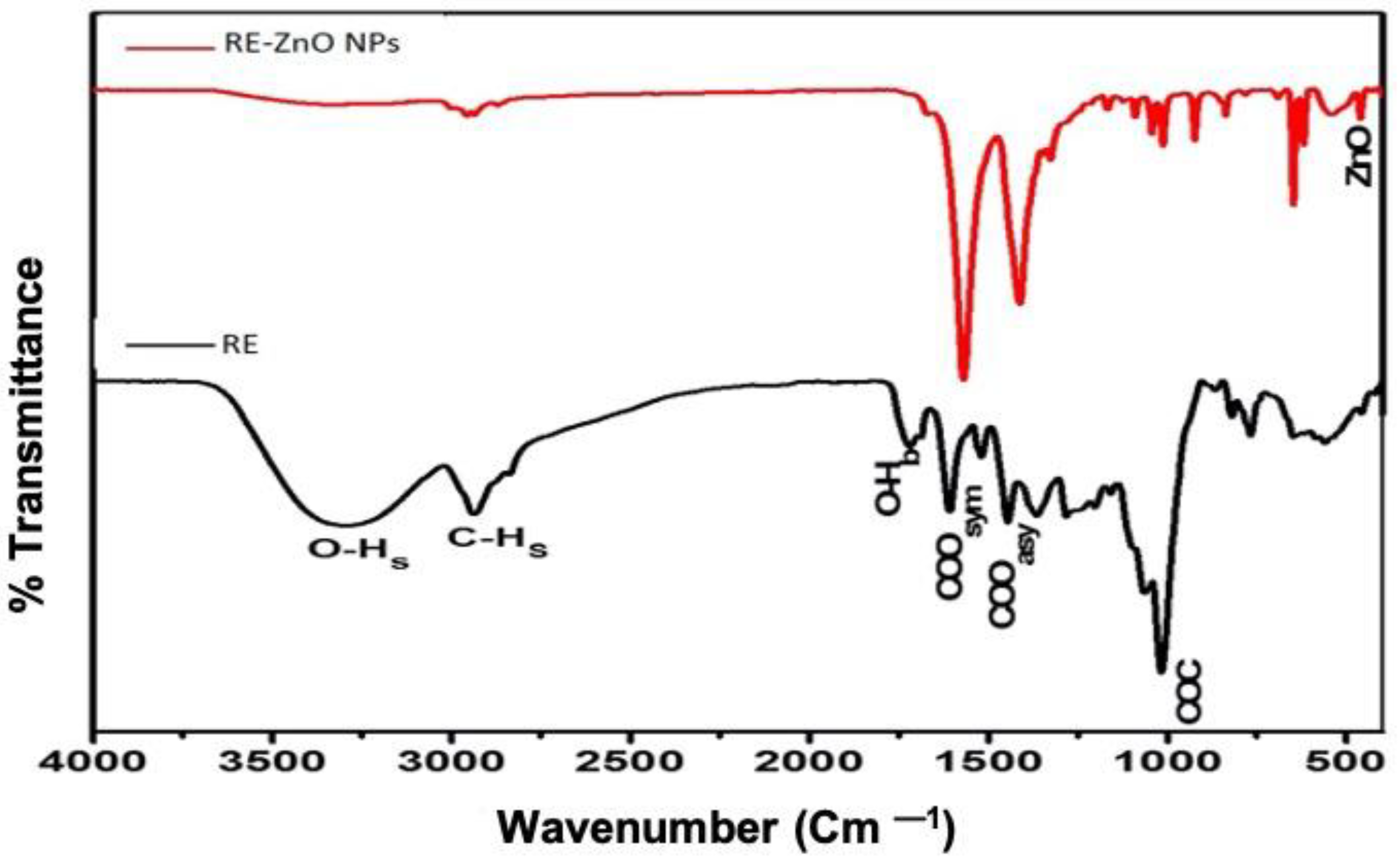 Molecules 26 03029 g002