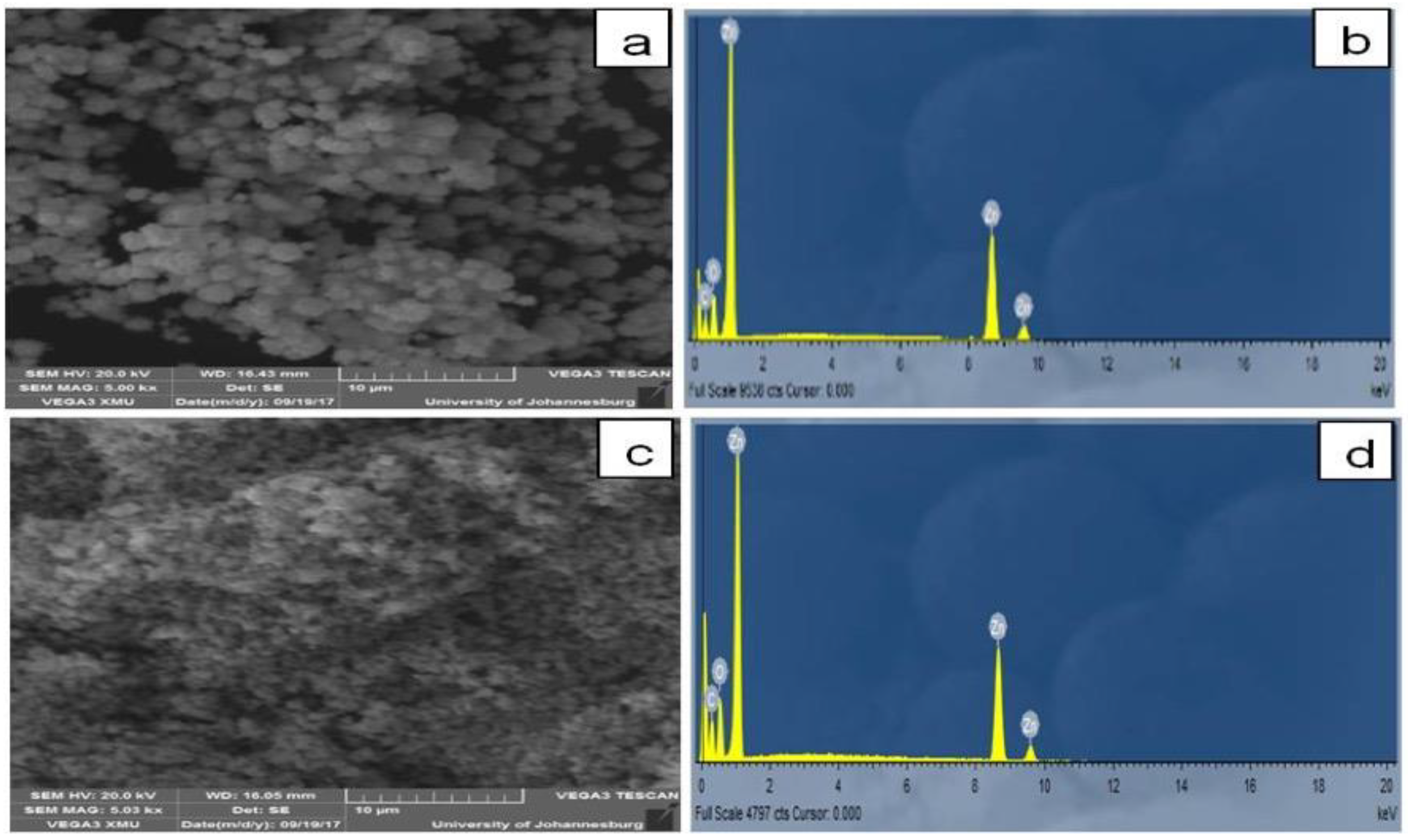 Molecules 26 03029 g005
