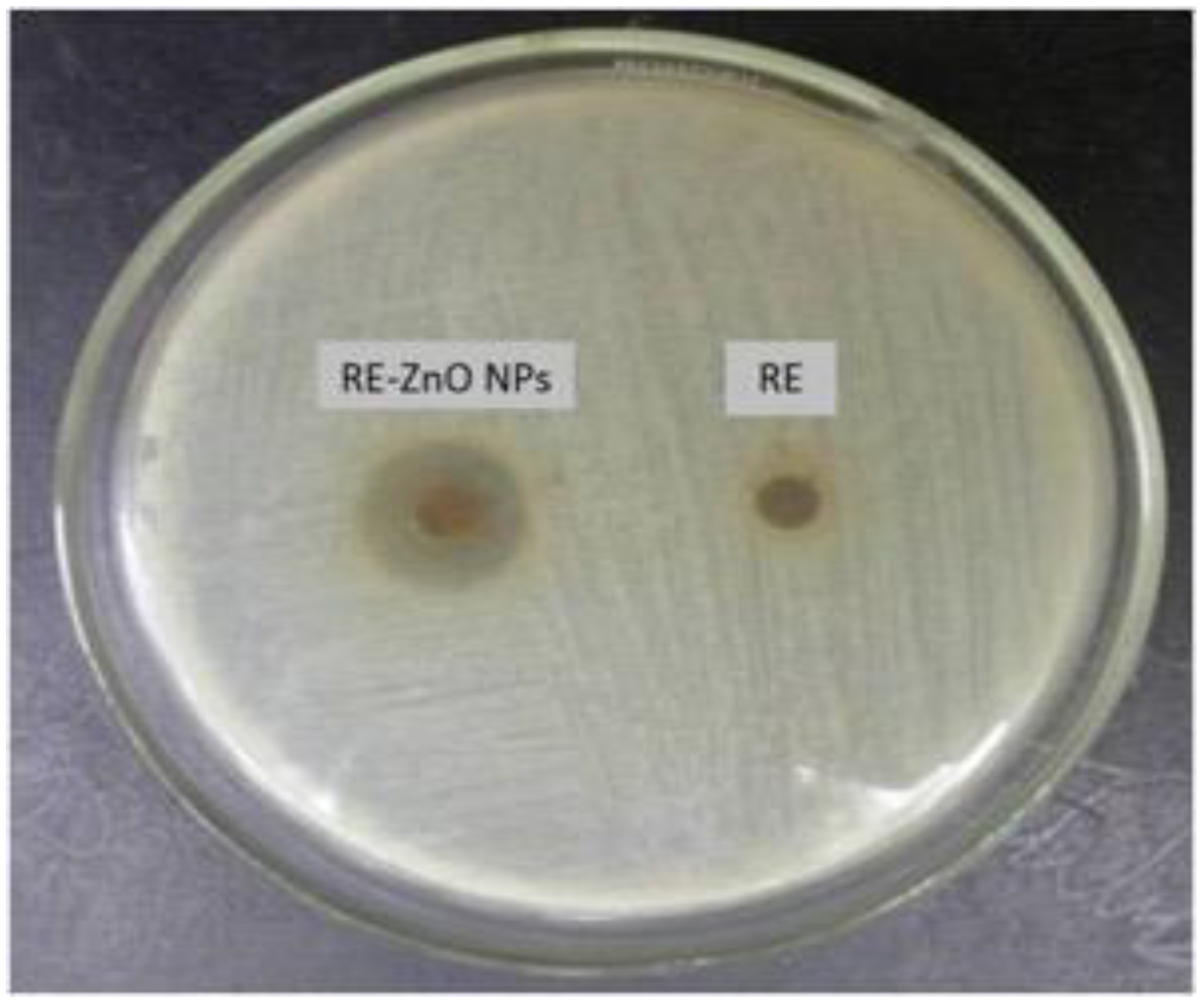 Molecules 26 03029 g006