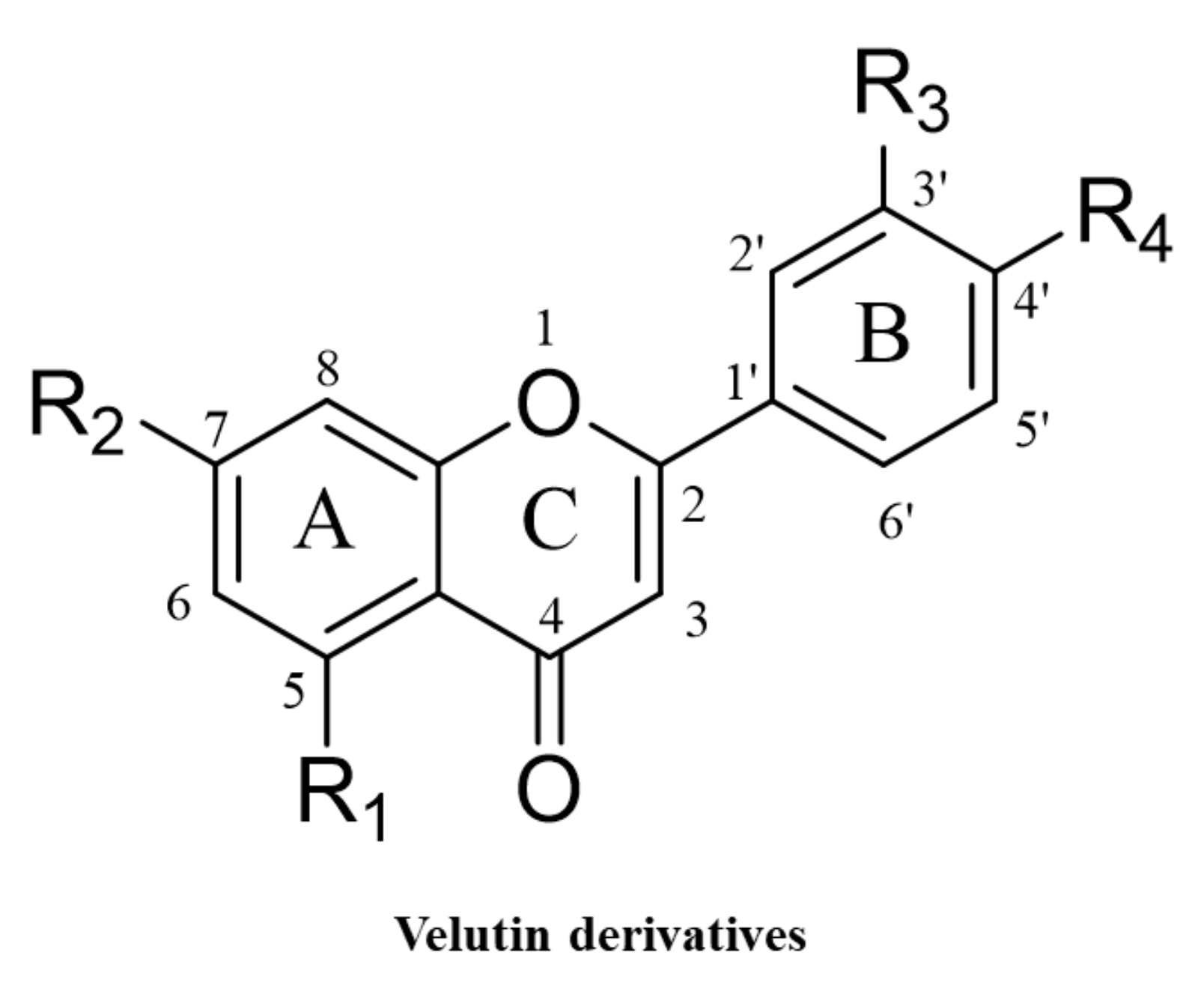 Molecules 26 03033 g001