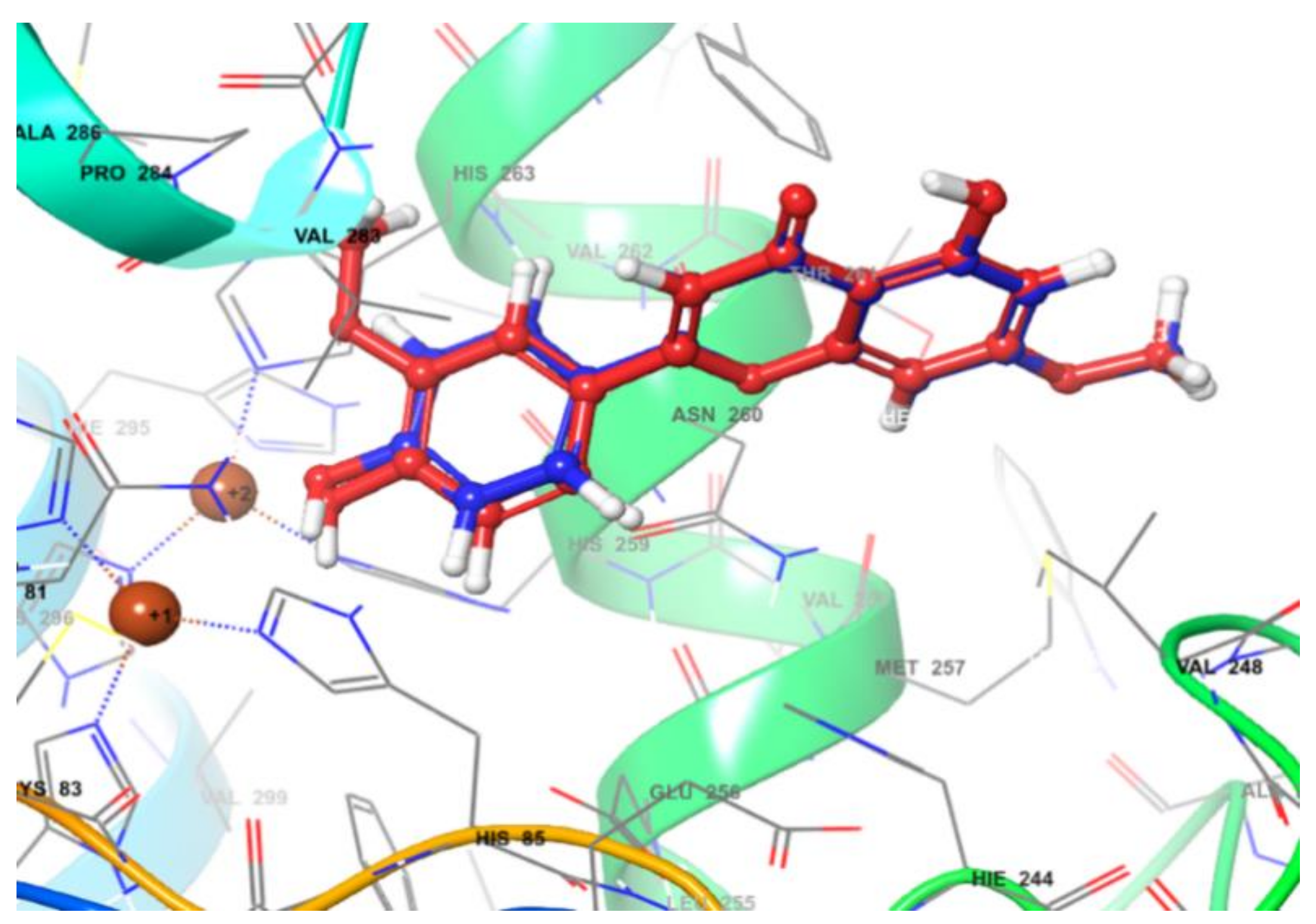 Molecules 26 03033 g004