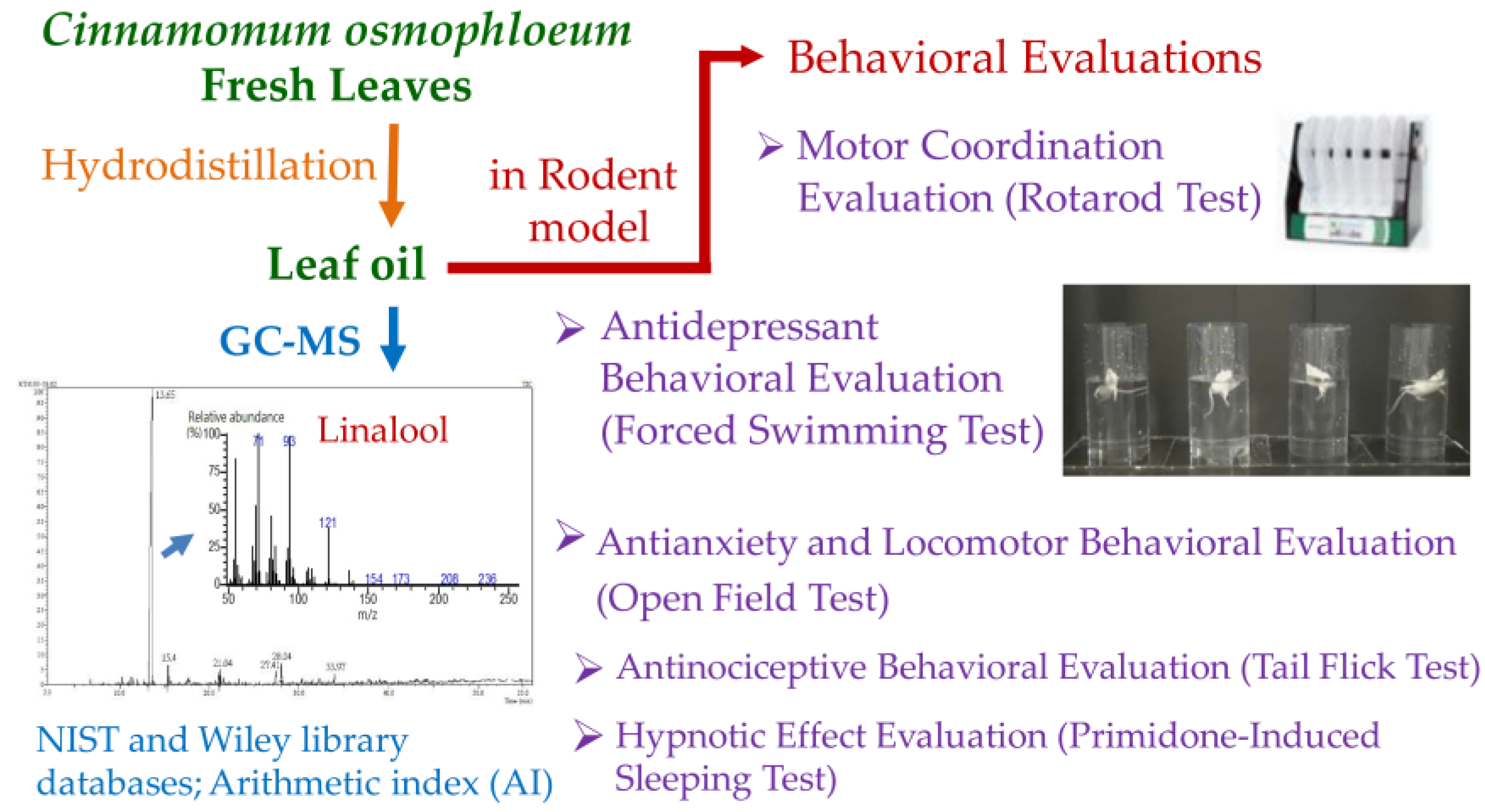 Molecules 26 03037 g001