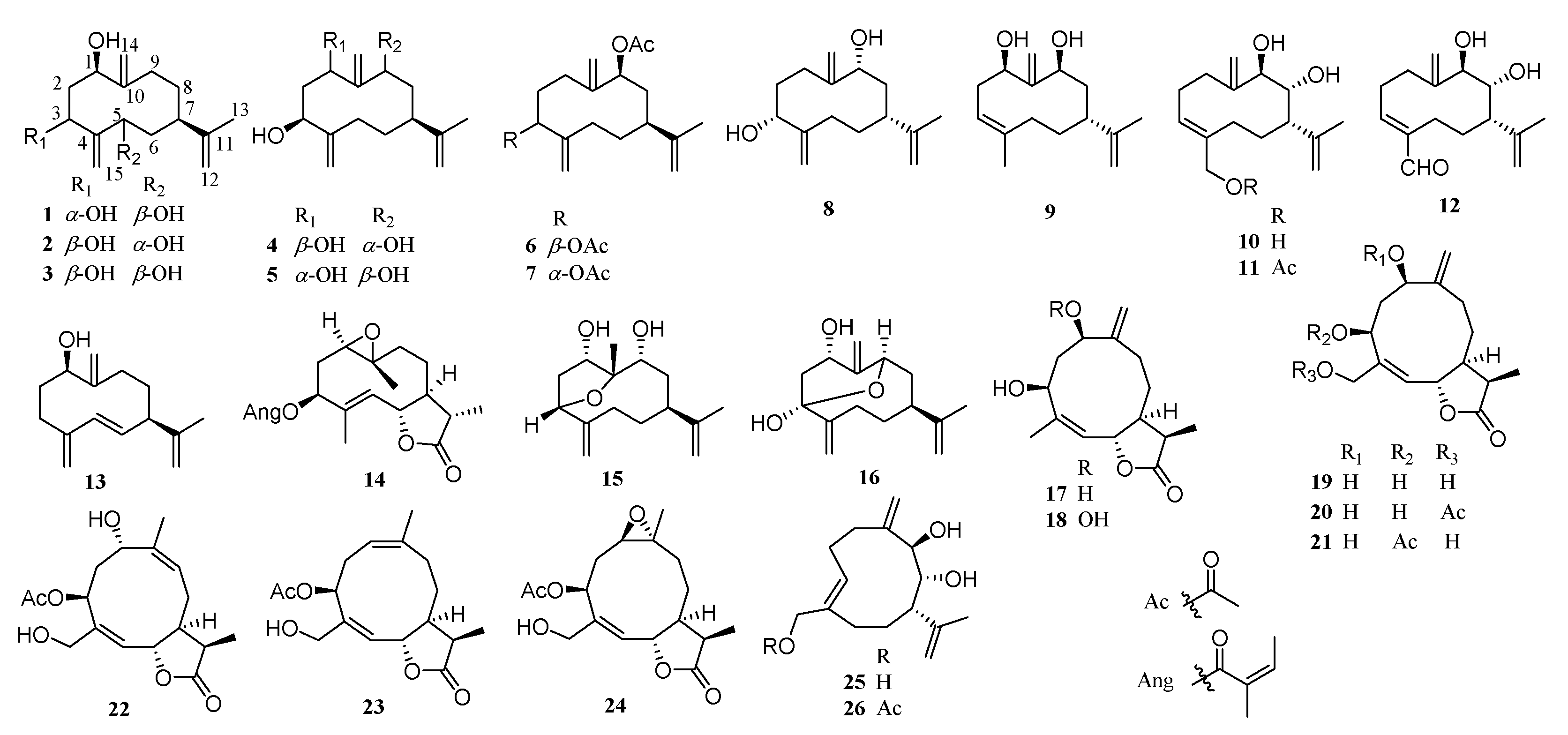 Molecules 26 03038 g001 Molecules 26 03038 g001