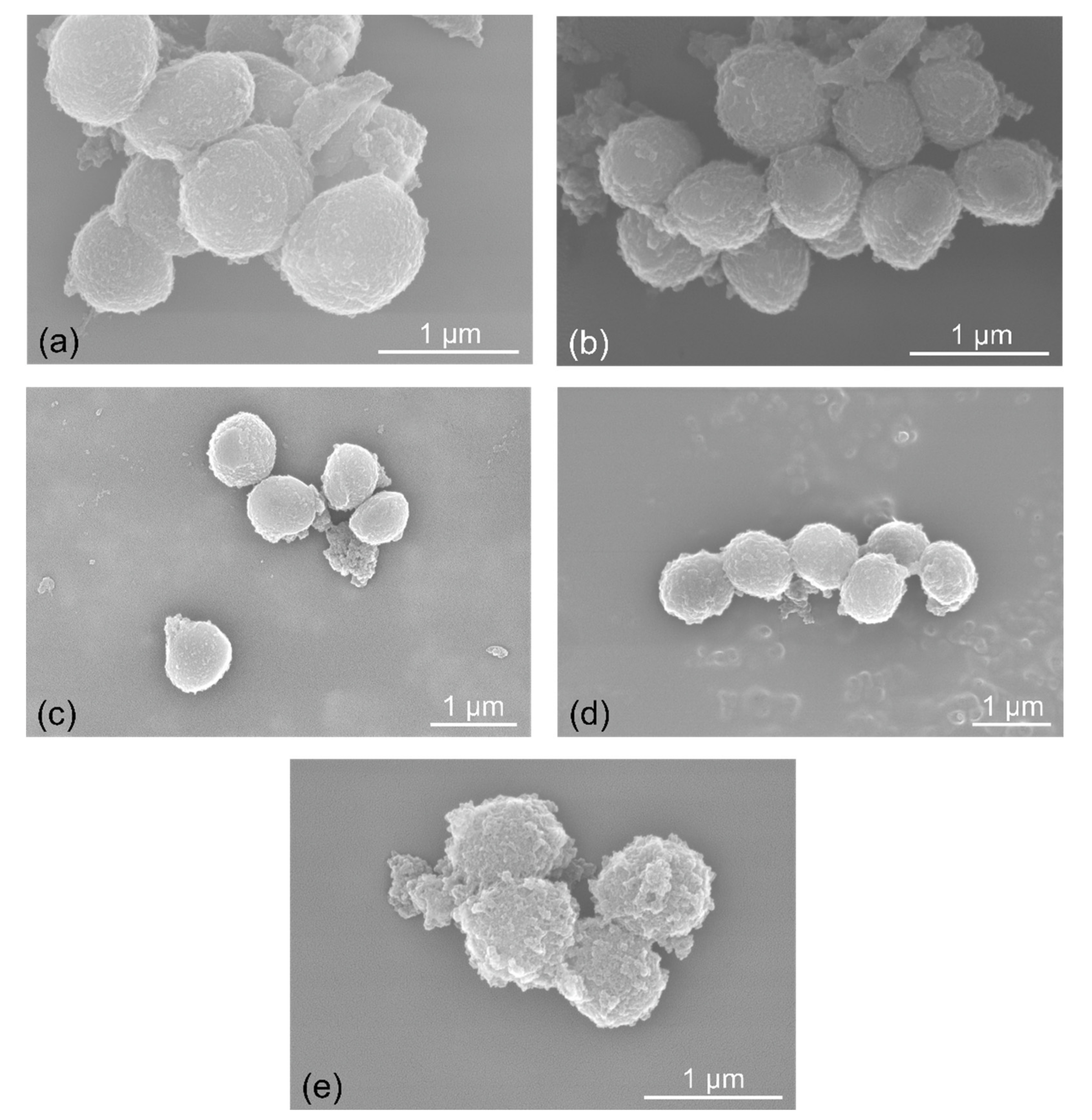Molecules 26 03040 g005 Molecules 26 03040 g005