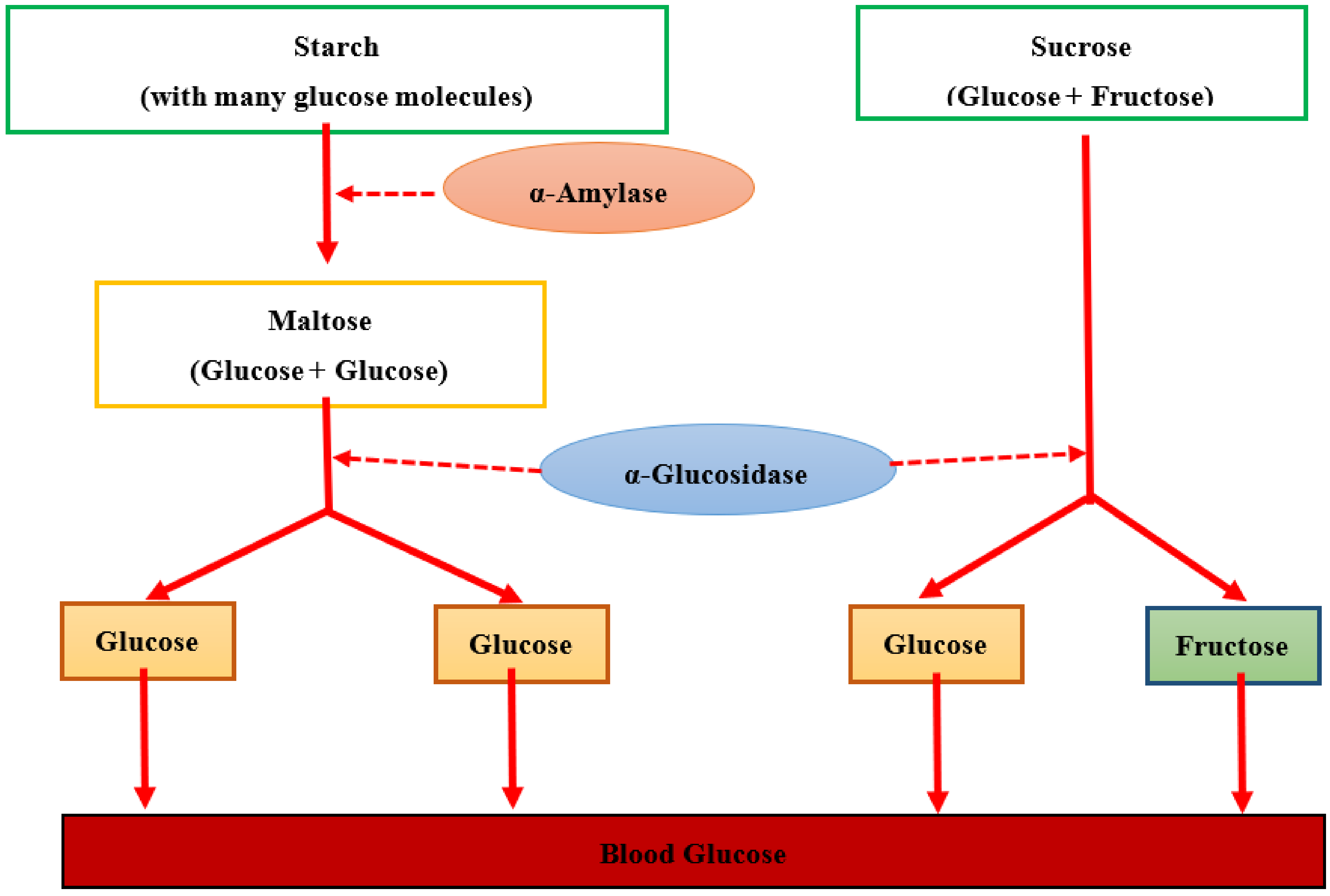 Molecules 26 03042 g001
