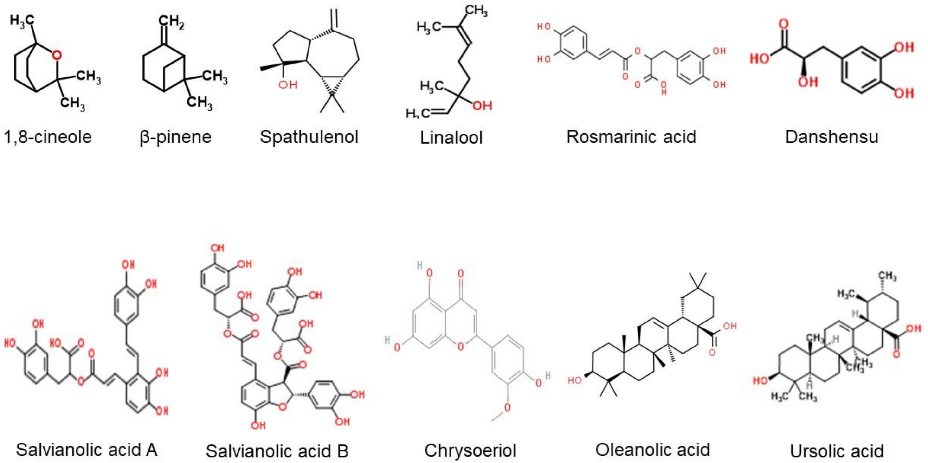 Molecules 26 03042 g002