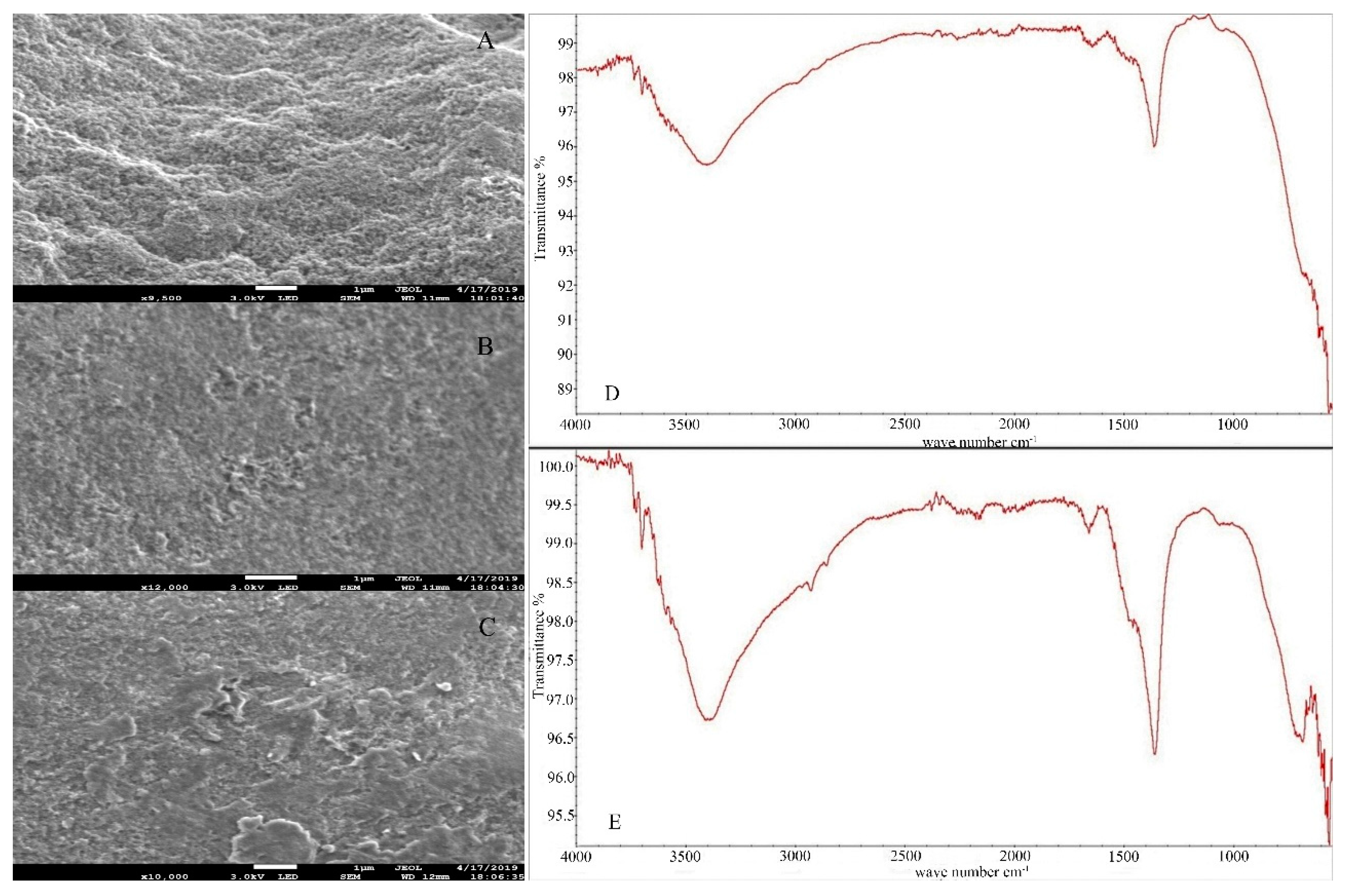 Molecules 26 03052 g001