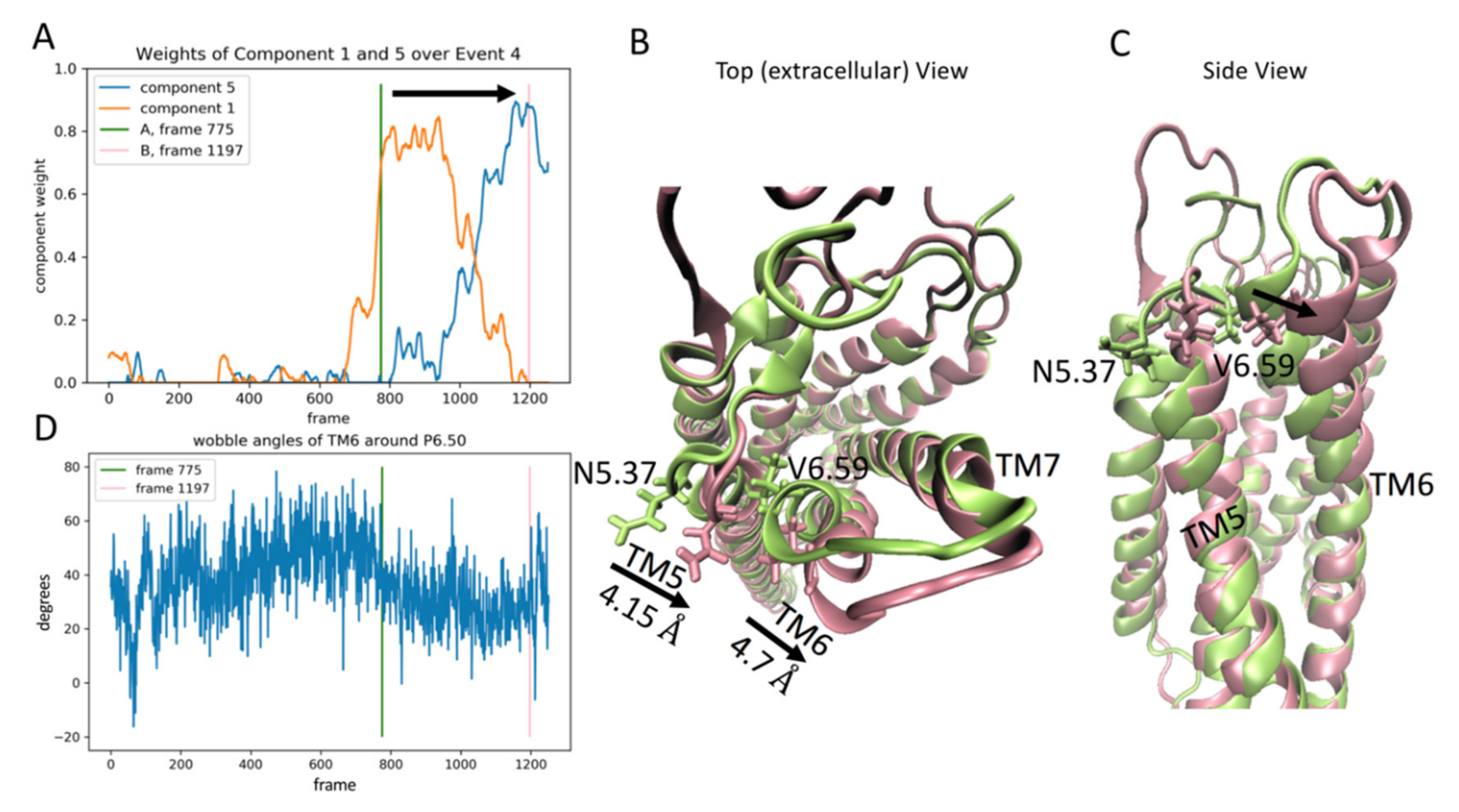Molecules 26 03059 g005 Molecules 26 03059 g005