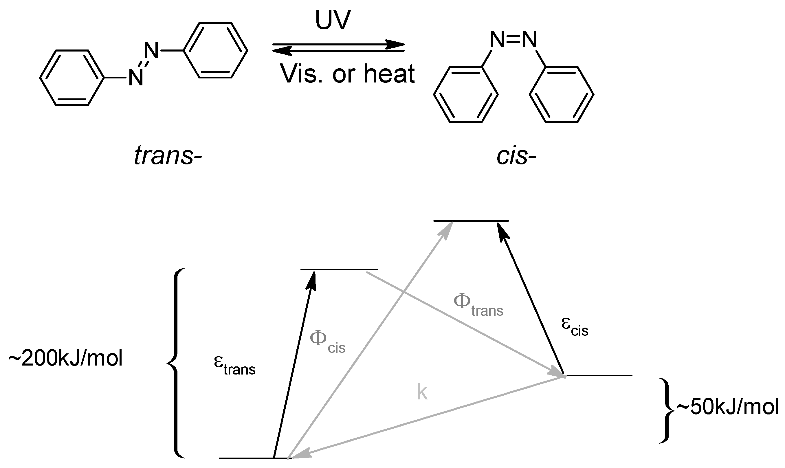 Molecules 26 03063 g001 Molecules 26 03063 g001
