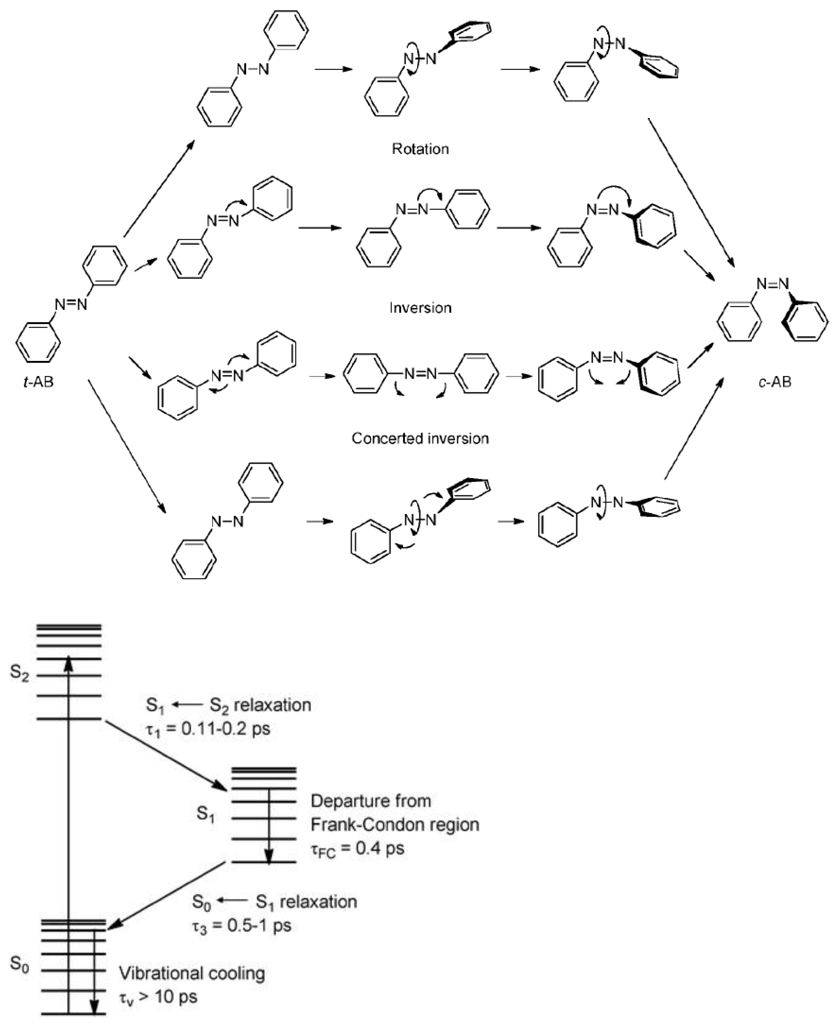 Molecules 26 03063 g002 Molecules 26 03063 g002