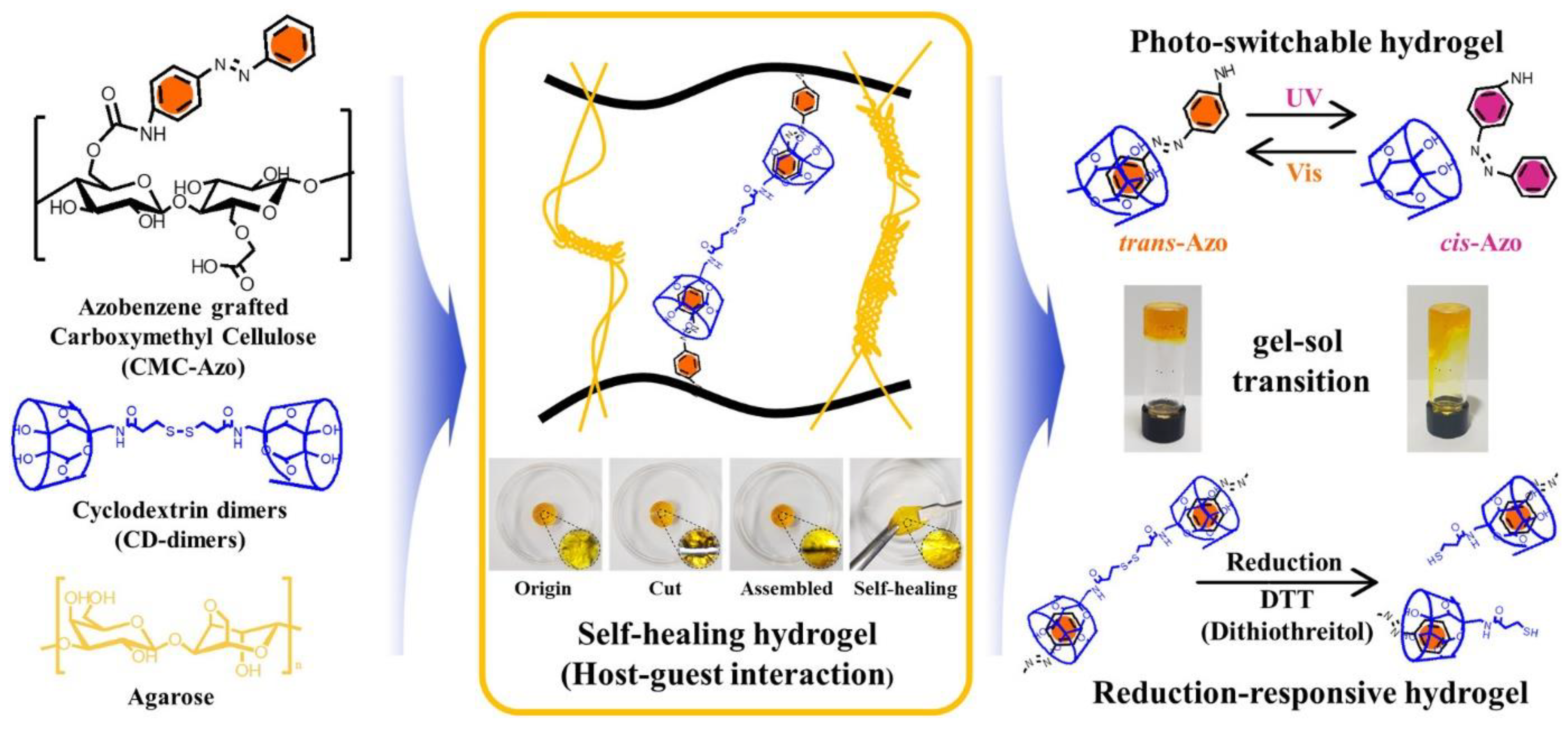 Molecules 26 03063 g013 Molecules 26 03063 g013