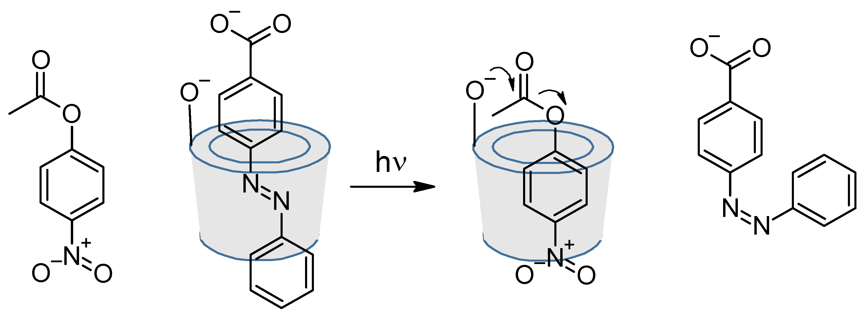 Molecules 26 03063 g017 Molecules 26 03063 g017