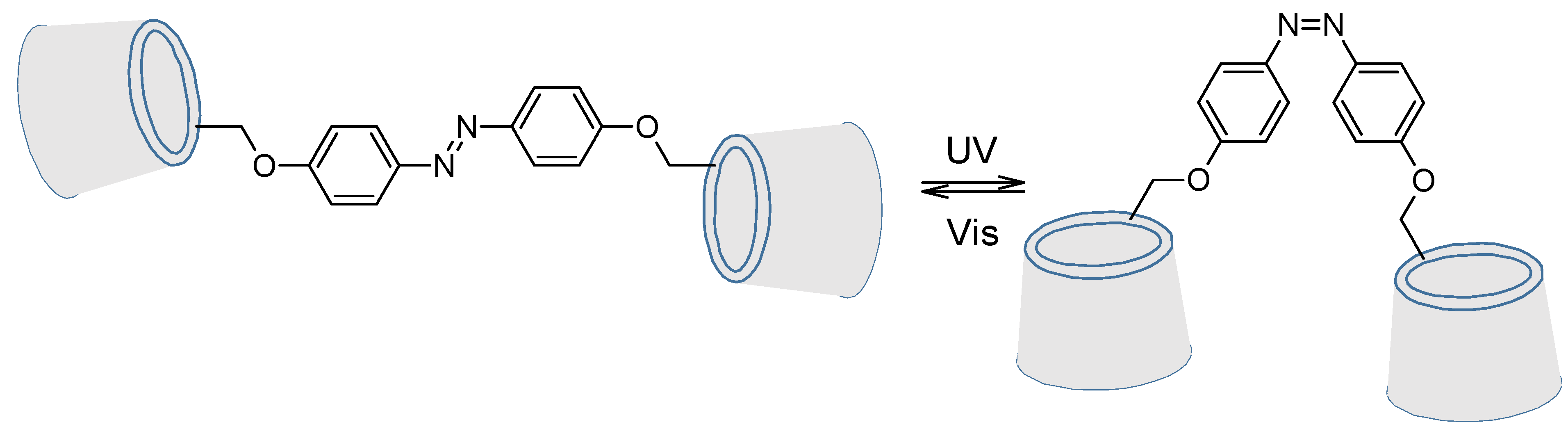 Molecules 26 03063 g021a Molecules 26 03063 g021a