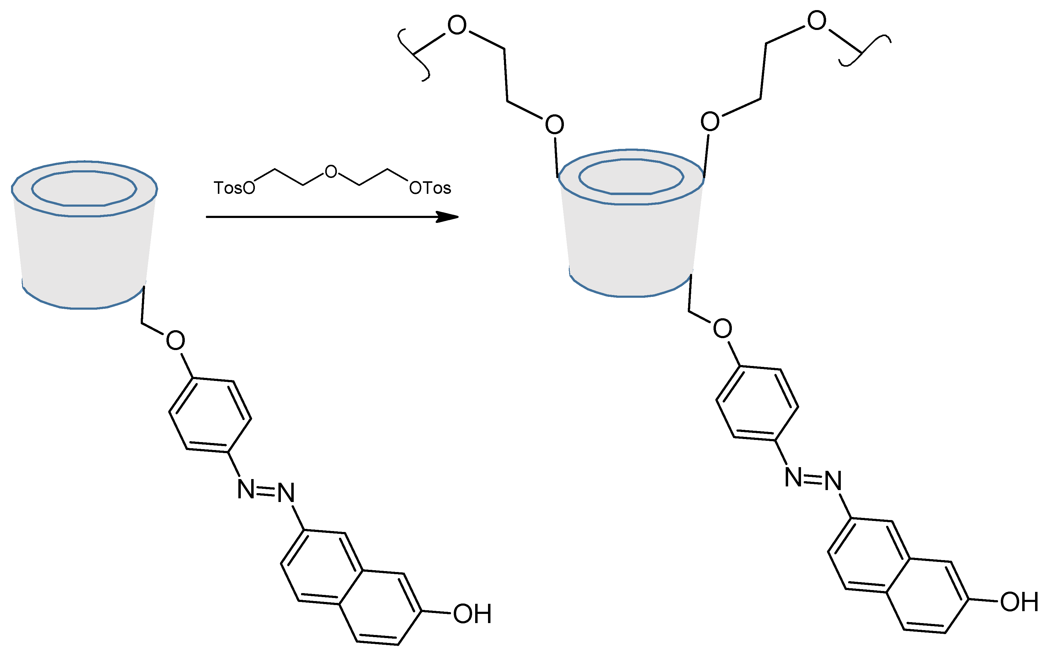 Molecules 26 03063 g023a Molecules 26 03063 g023a