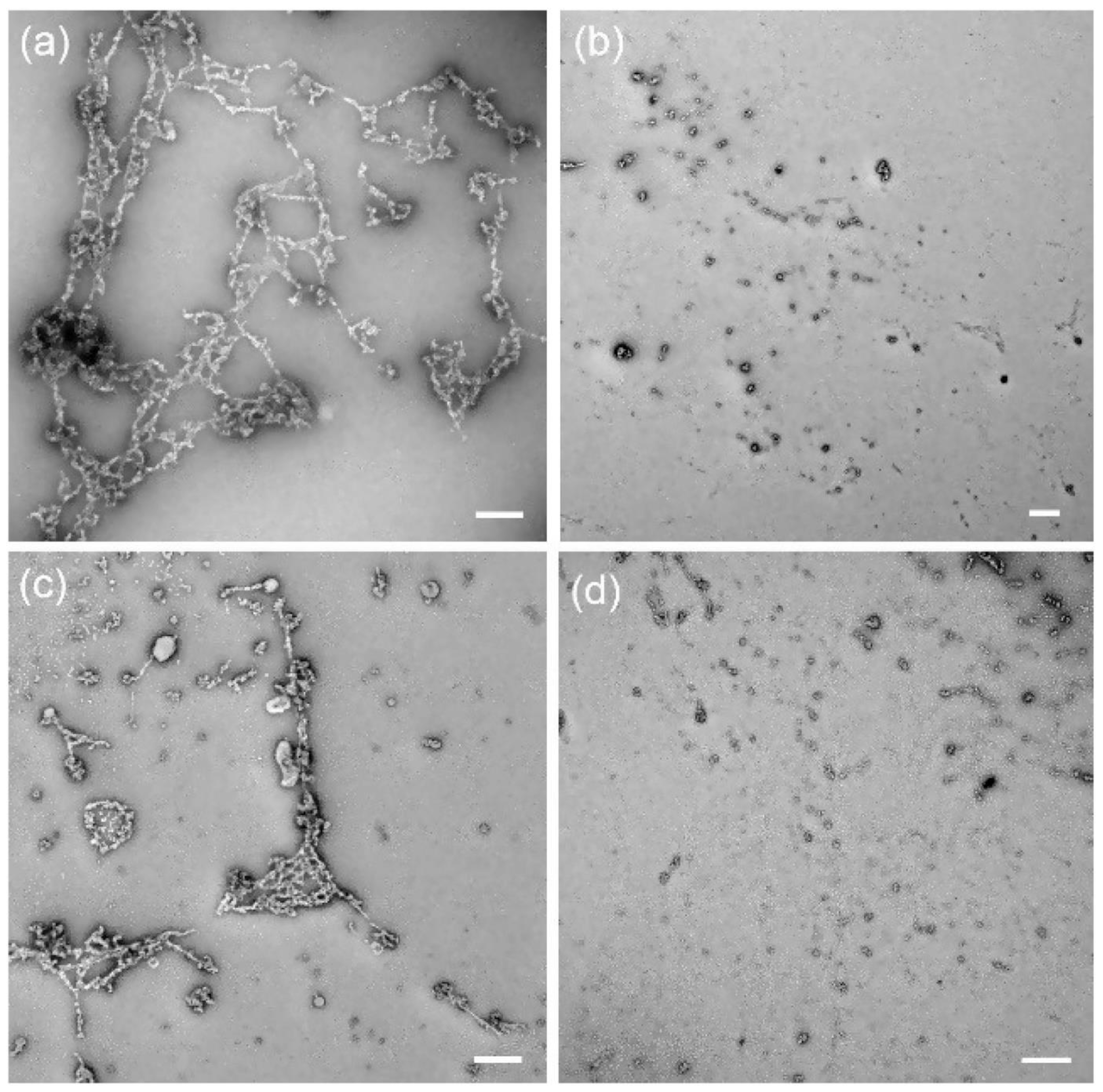Molecules 26 03063 g024 Molecules 26 03063 g024