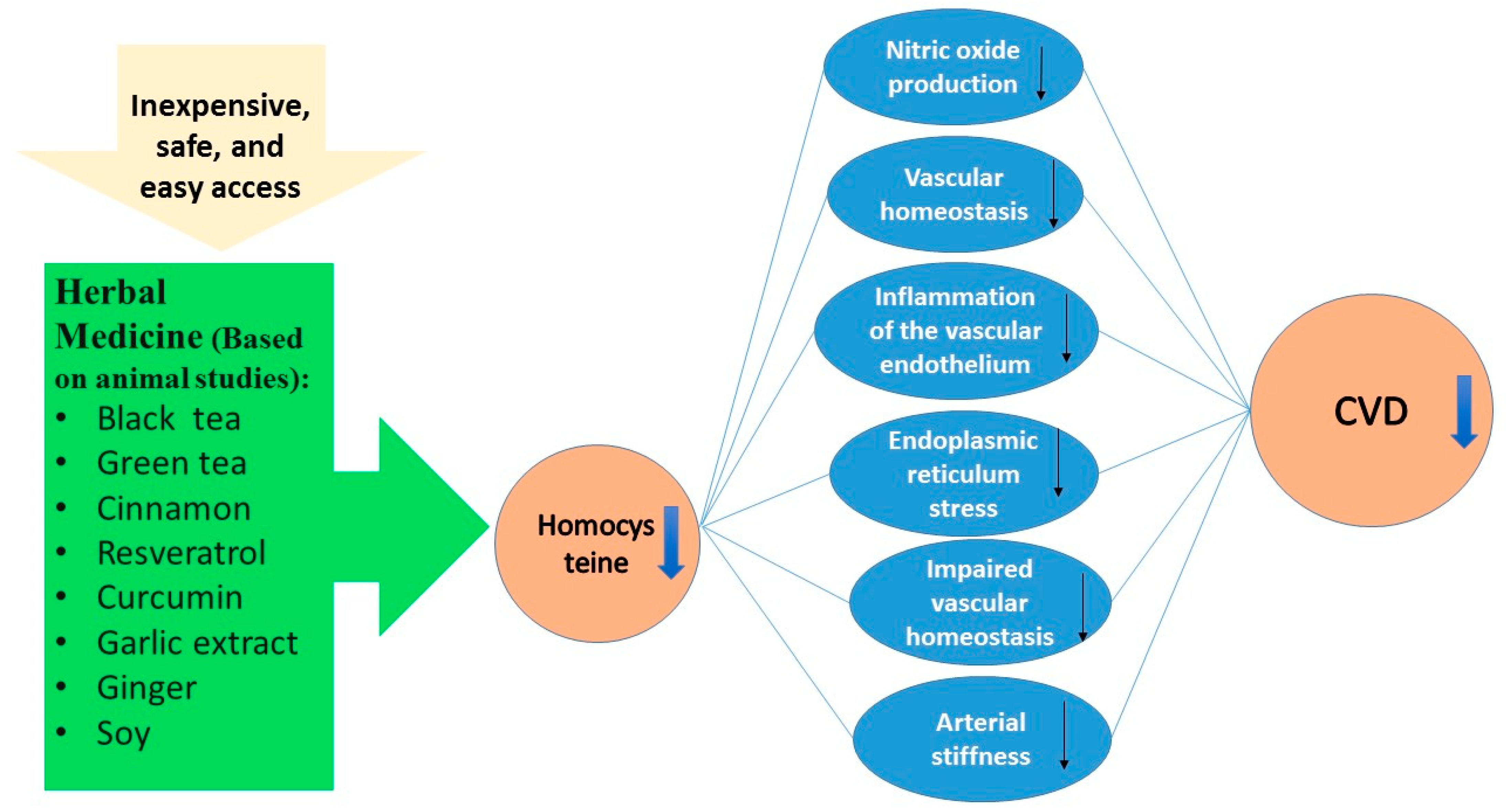 Molecules 26 03081 g001