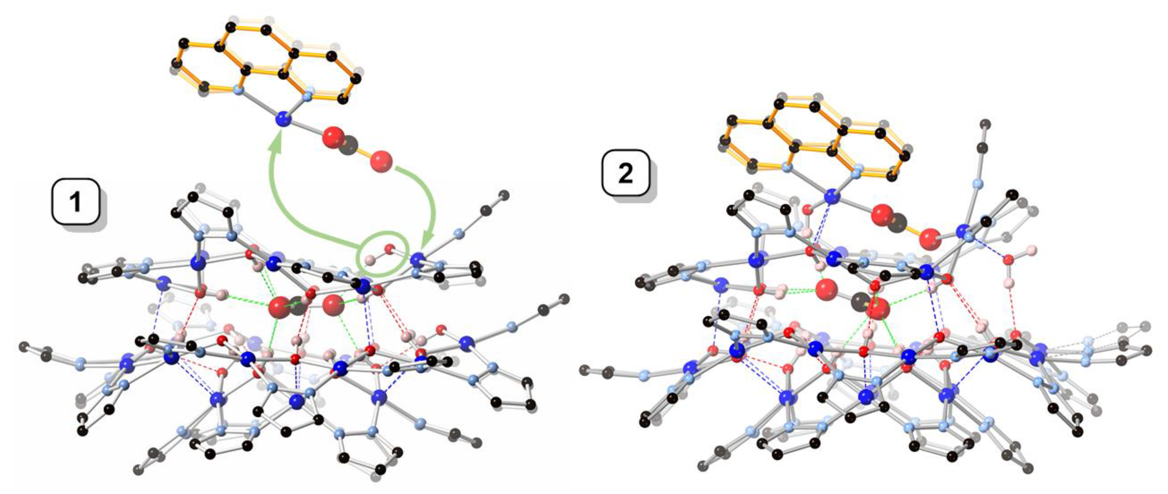 Molecules 26 03083 g004 Molecules 26 03083 g004