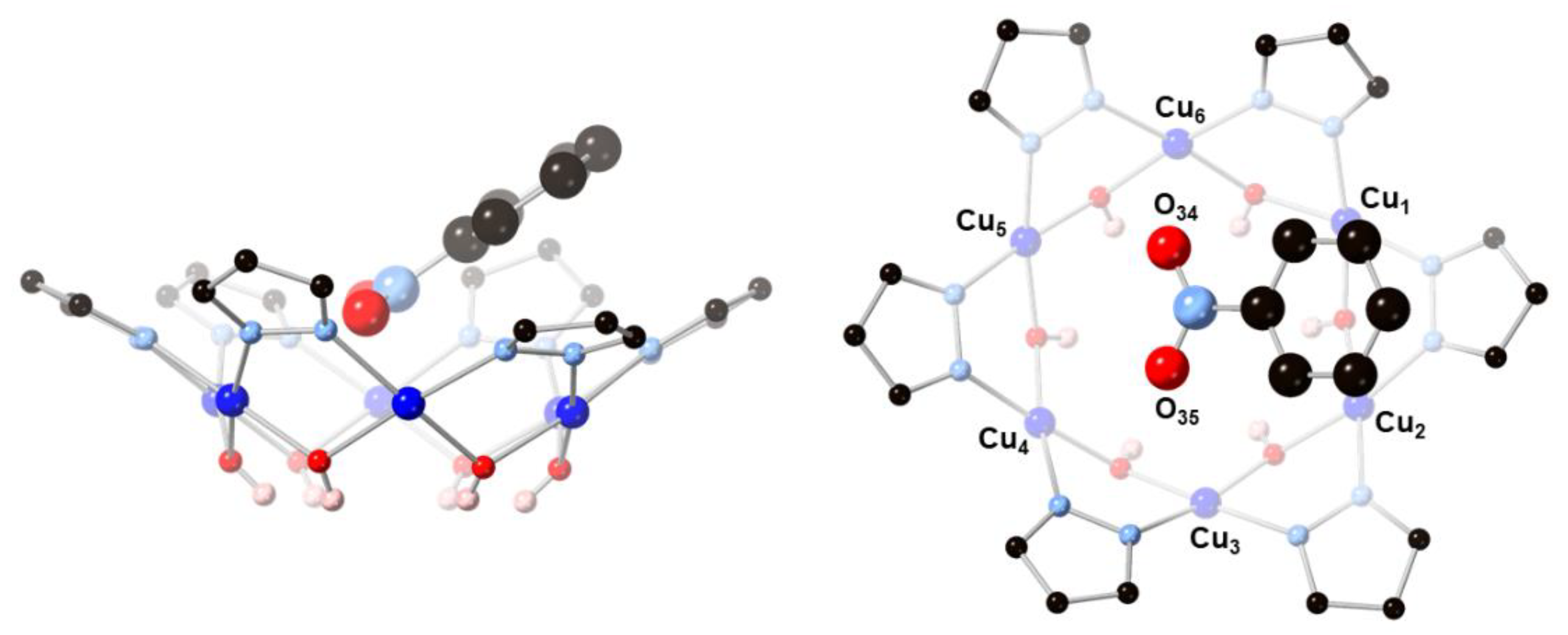 Molecules 26 03083 g005 Molecules 26 03083 g005