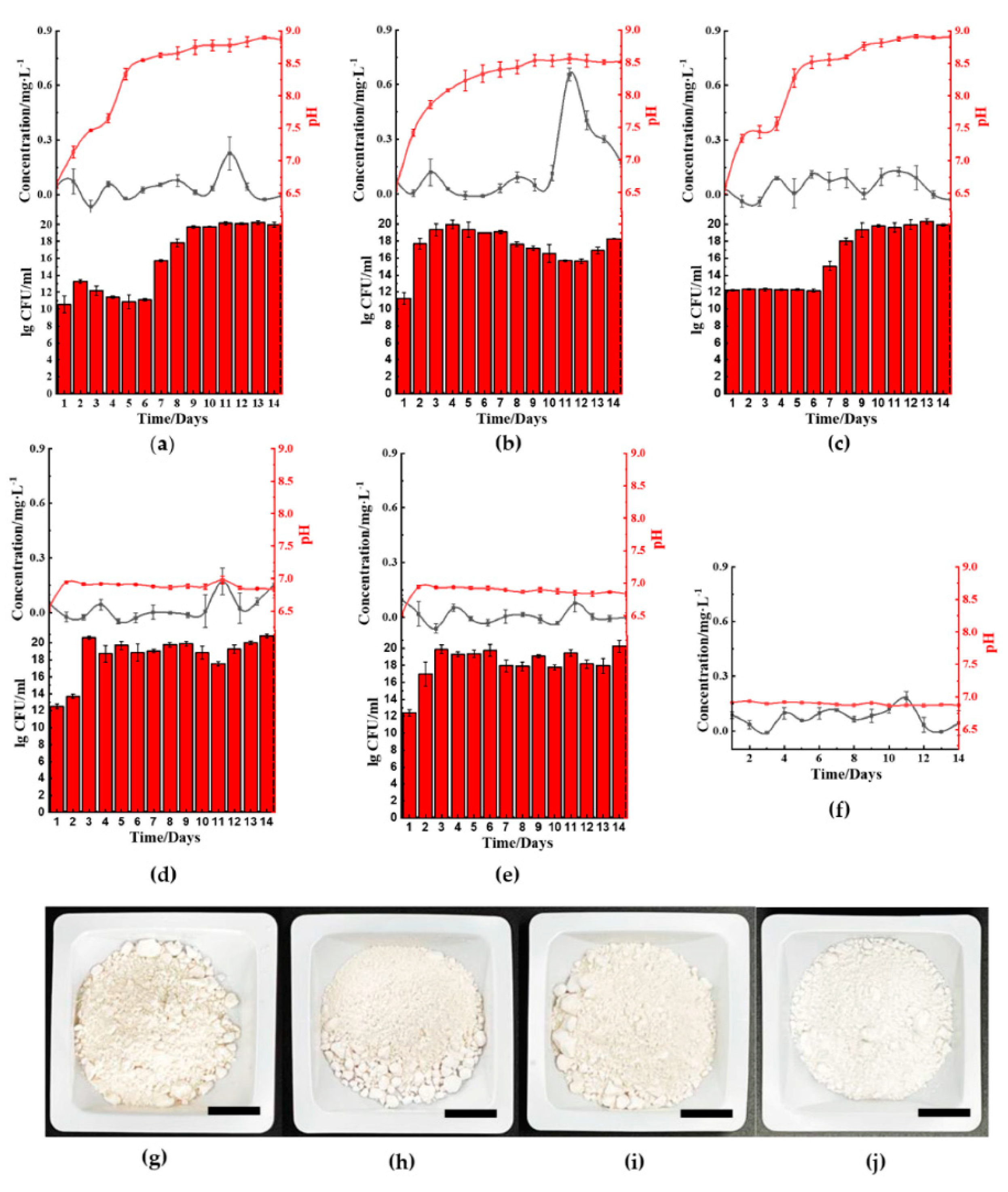 Molecules 26 03084 g003