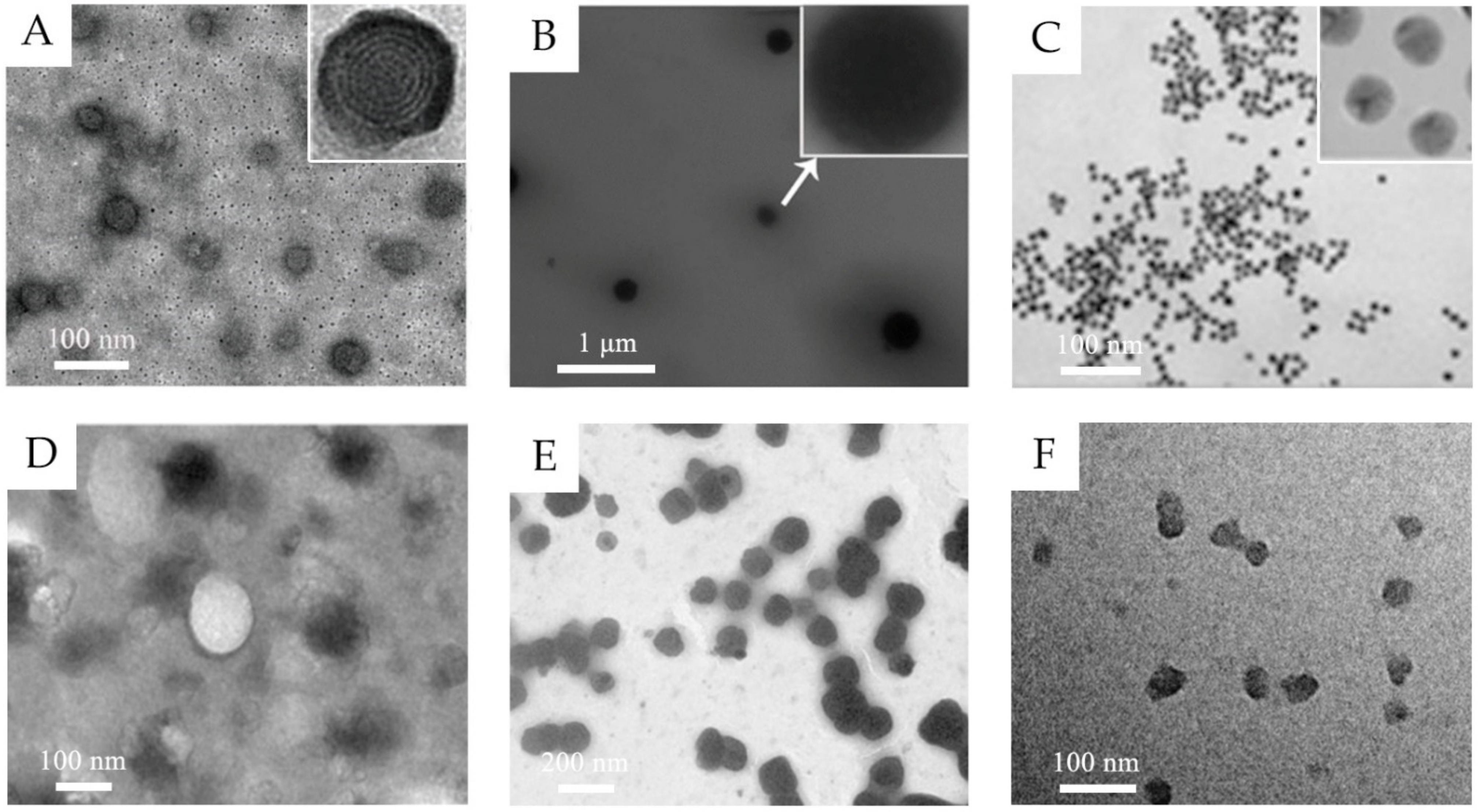 Molecules 26 03093 g001