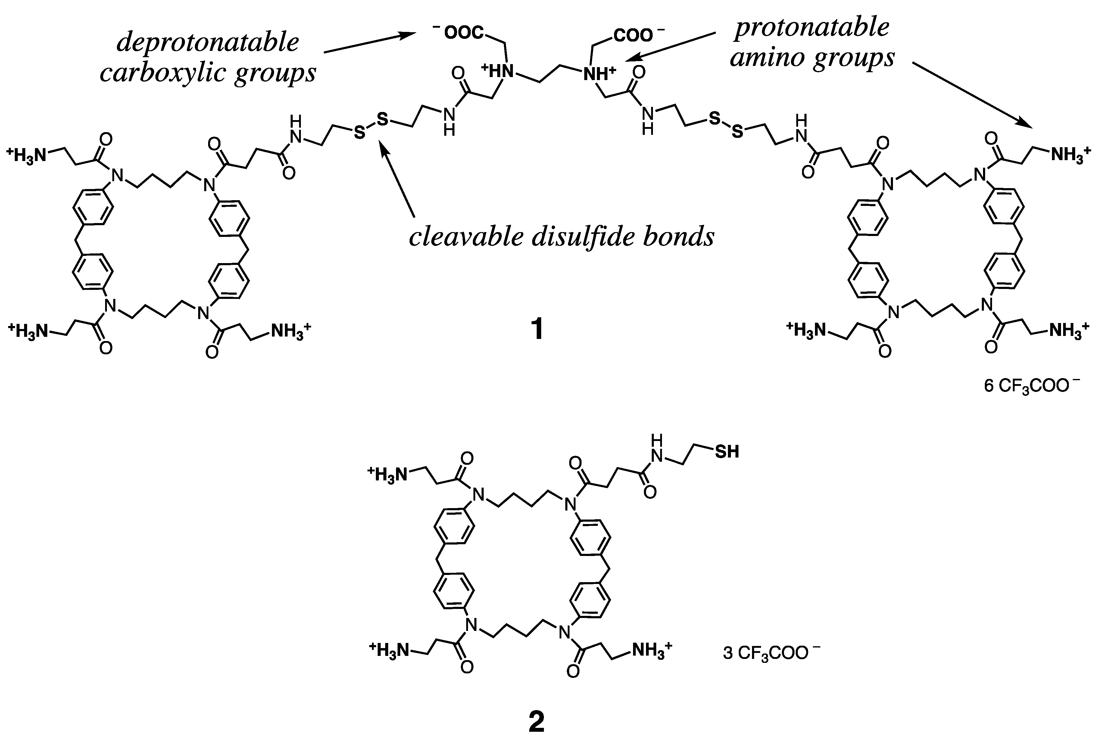 Molecules 26 03097 g001