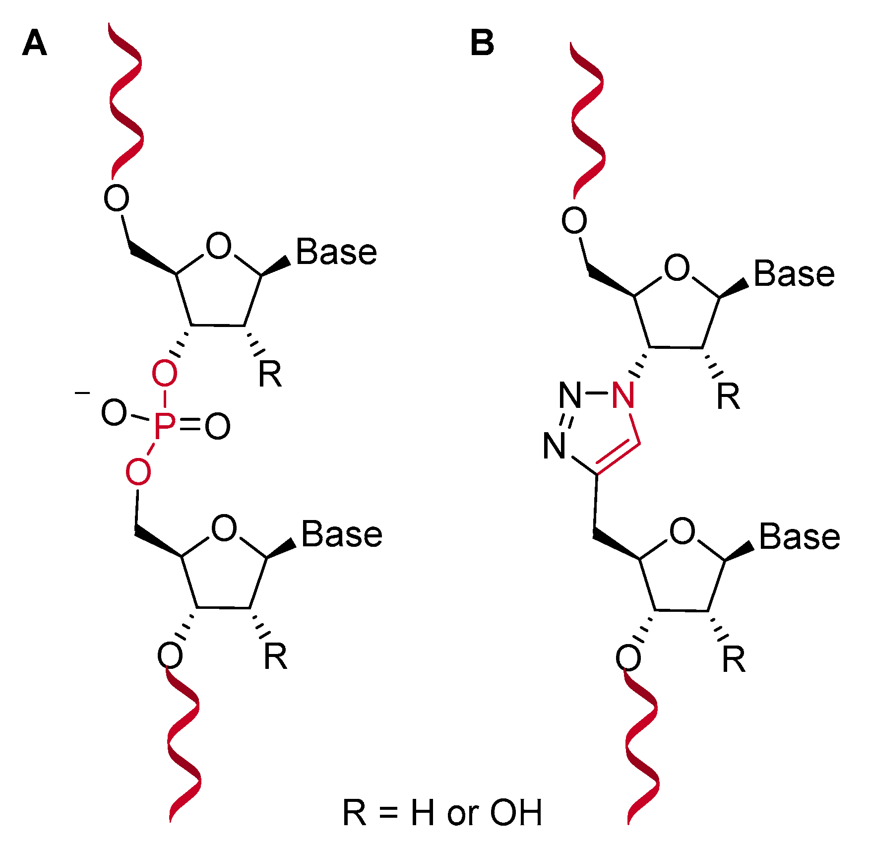 Molecules 26 03100 g003