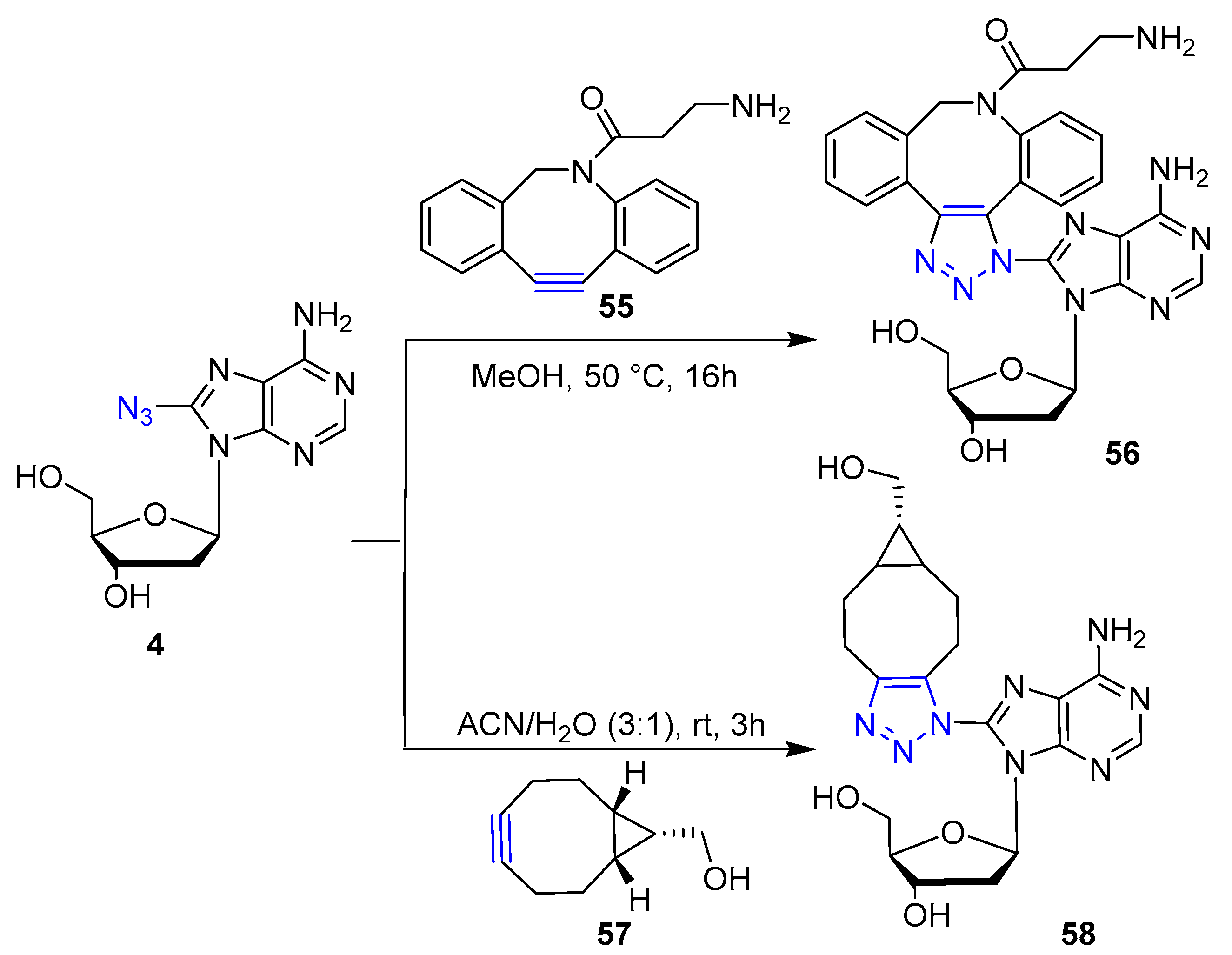 Molecules 26 03100 sch012