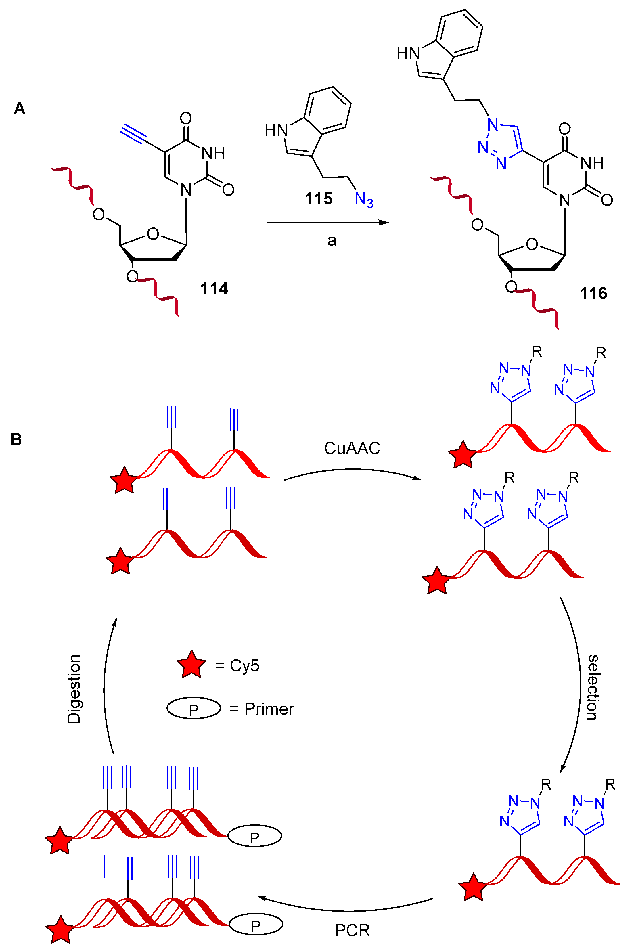 Molecules 26 03100 sch029