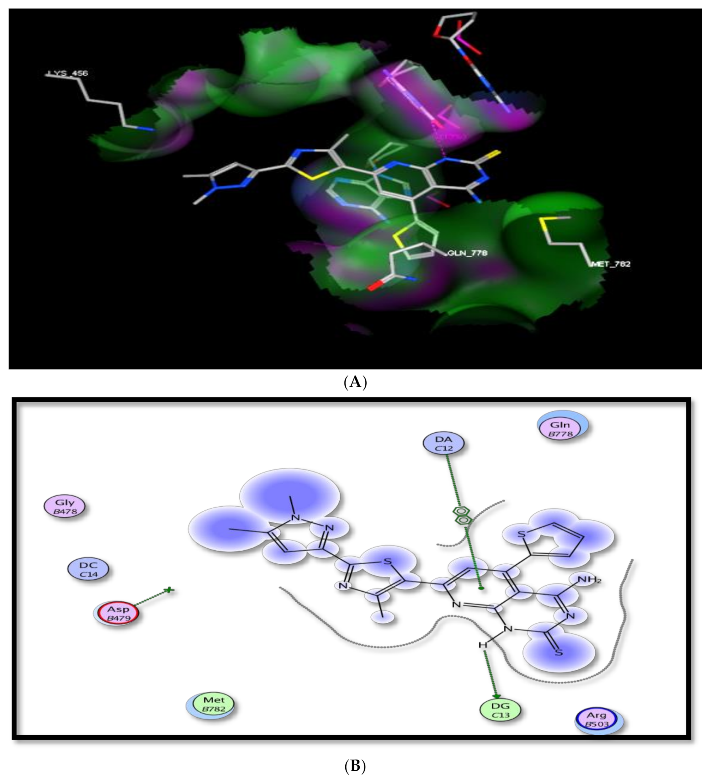 Molecules 26 03103 g011 Molecules 26 03103 g011