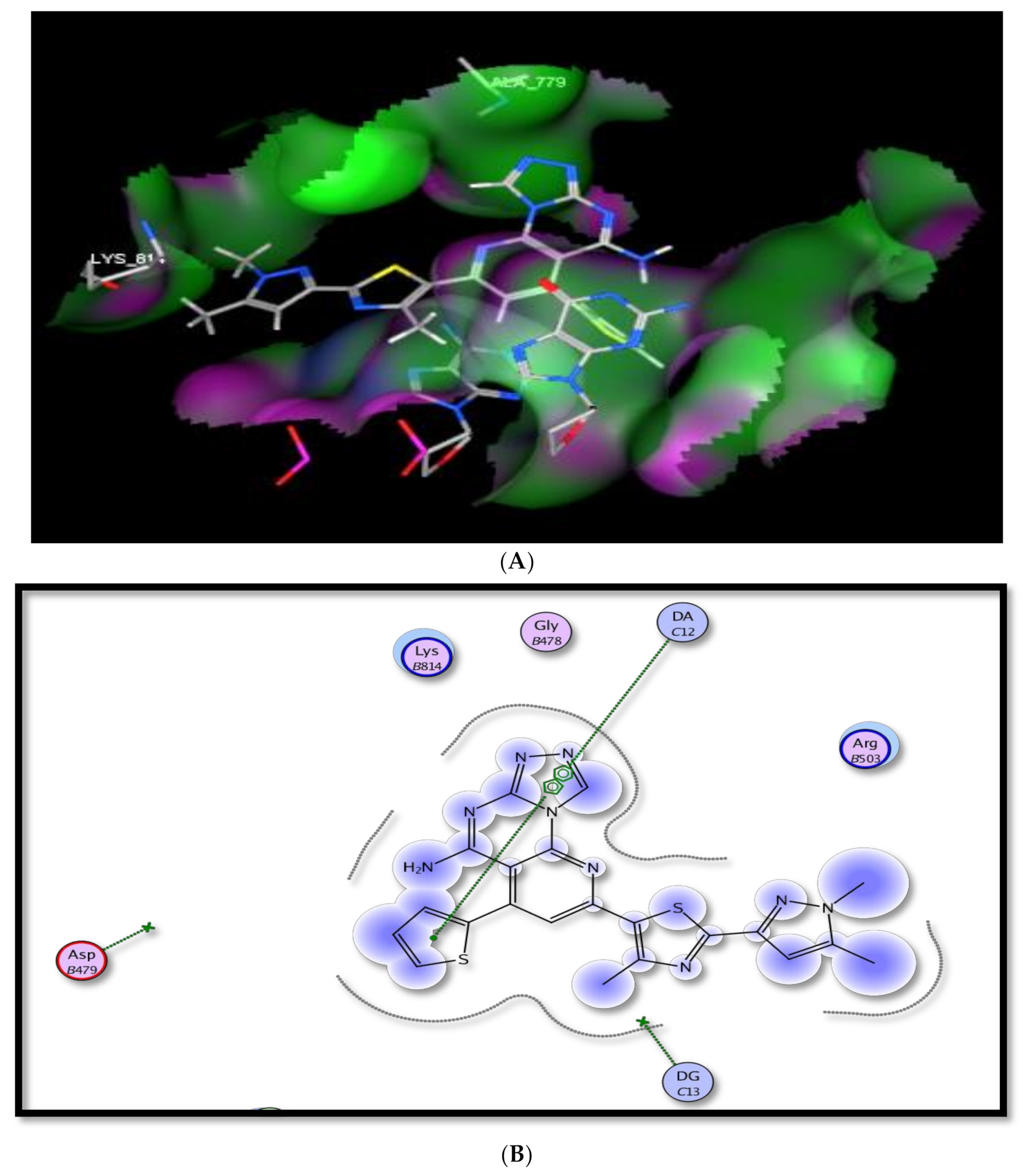 Molecules 26 03103 g012 Molecules 26 03103 g012