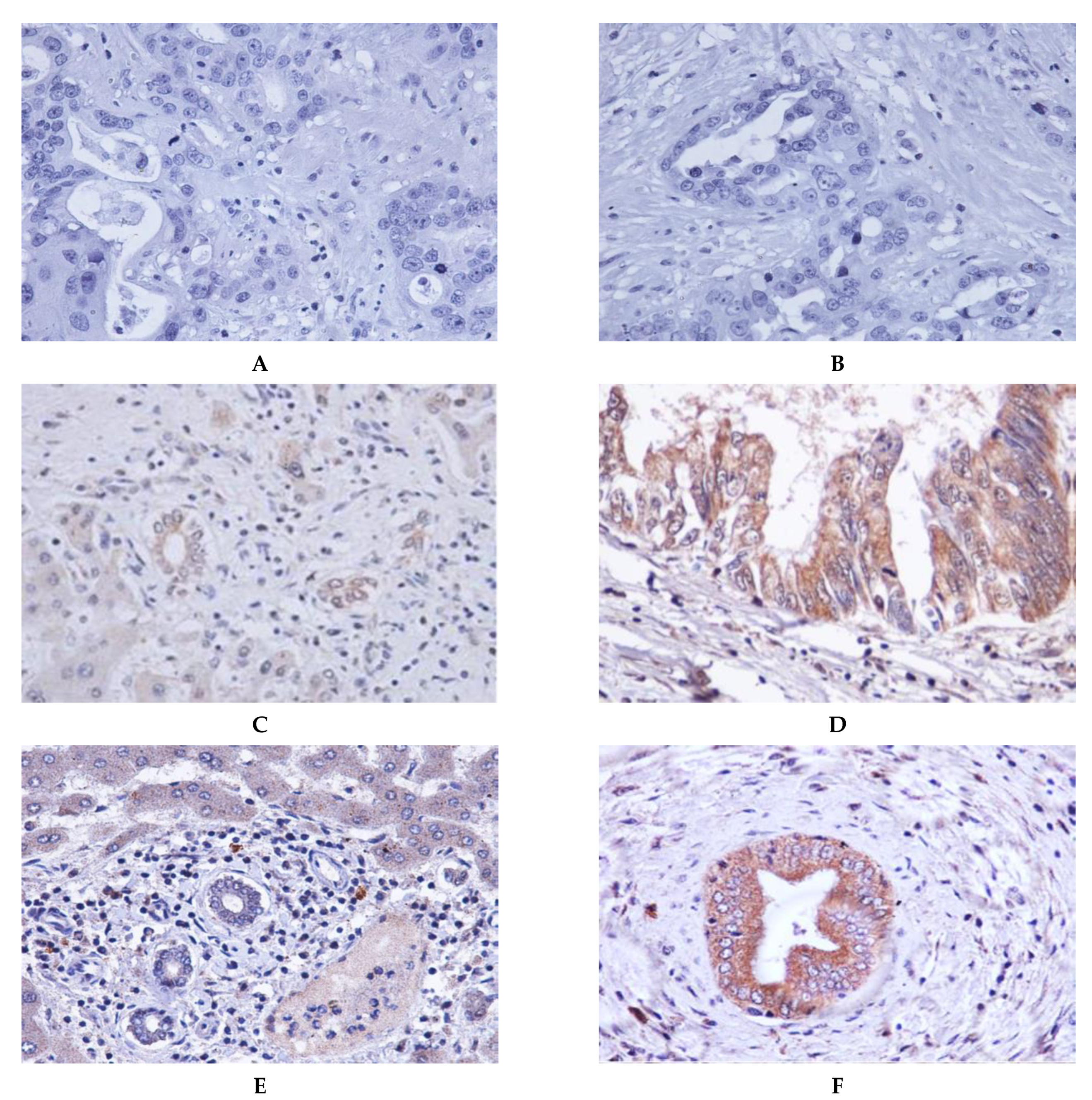 Molecules 26 03105 g001