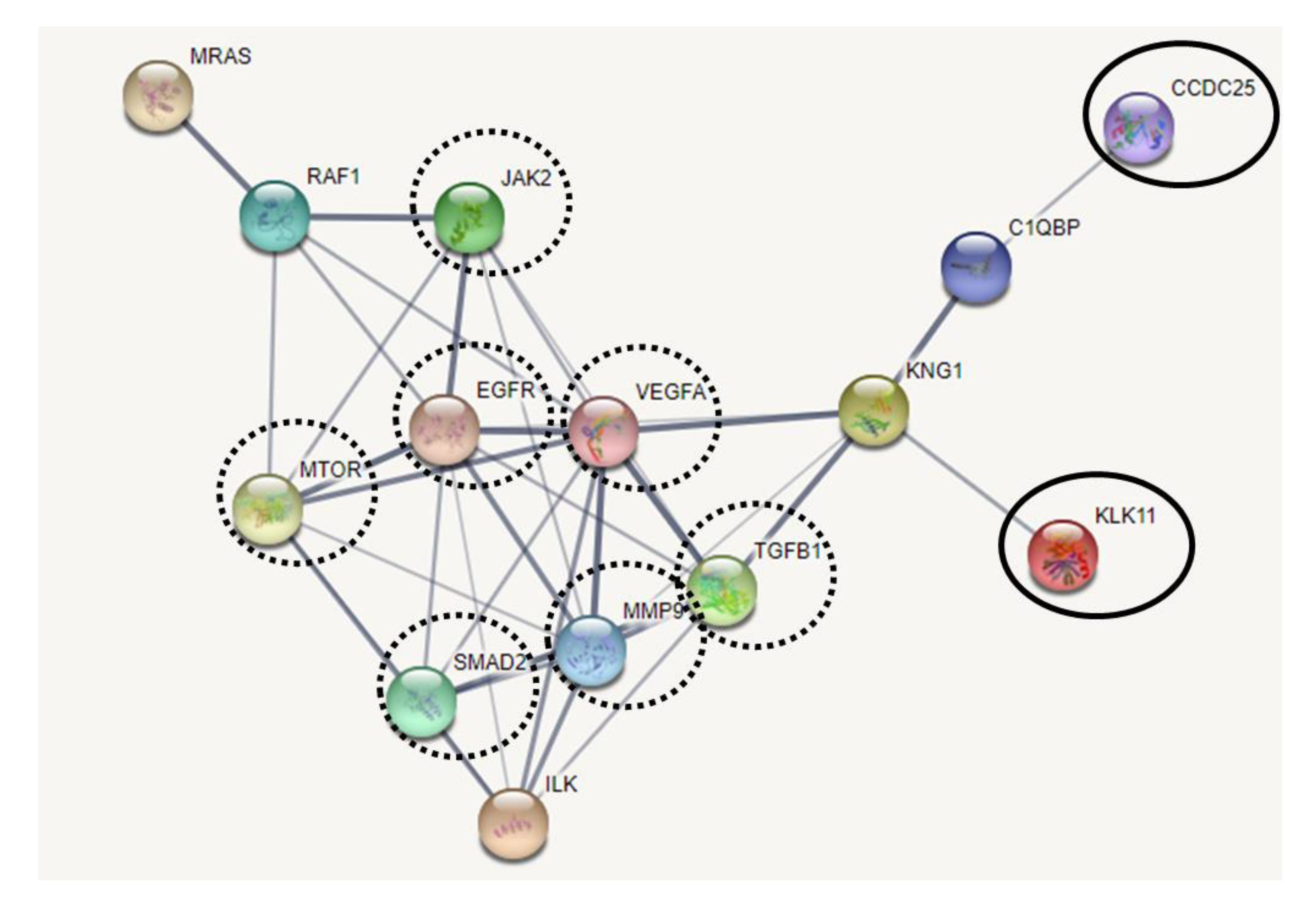 Molecules 26 03105 g008