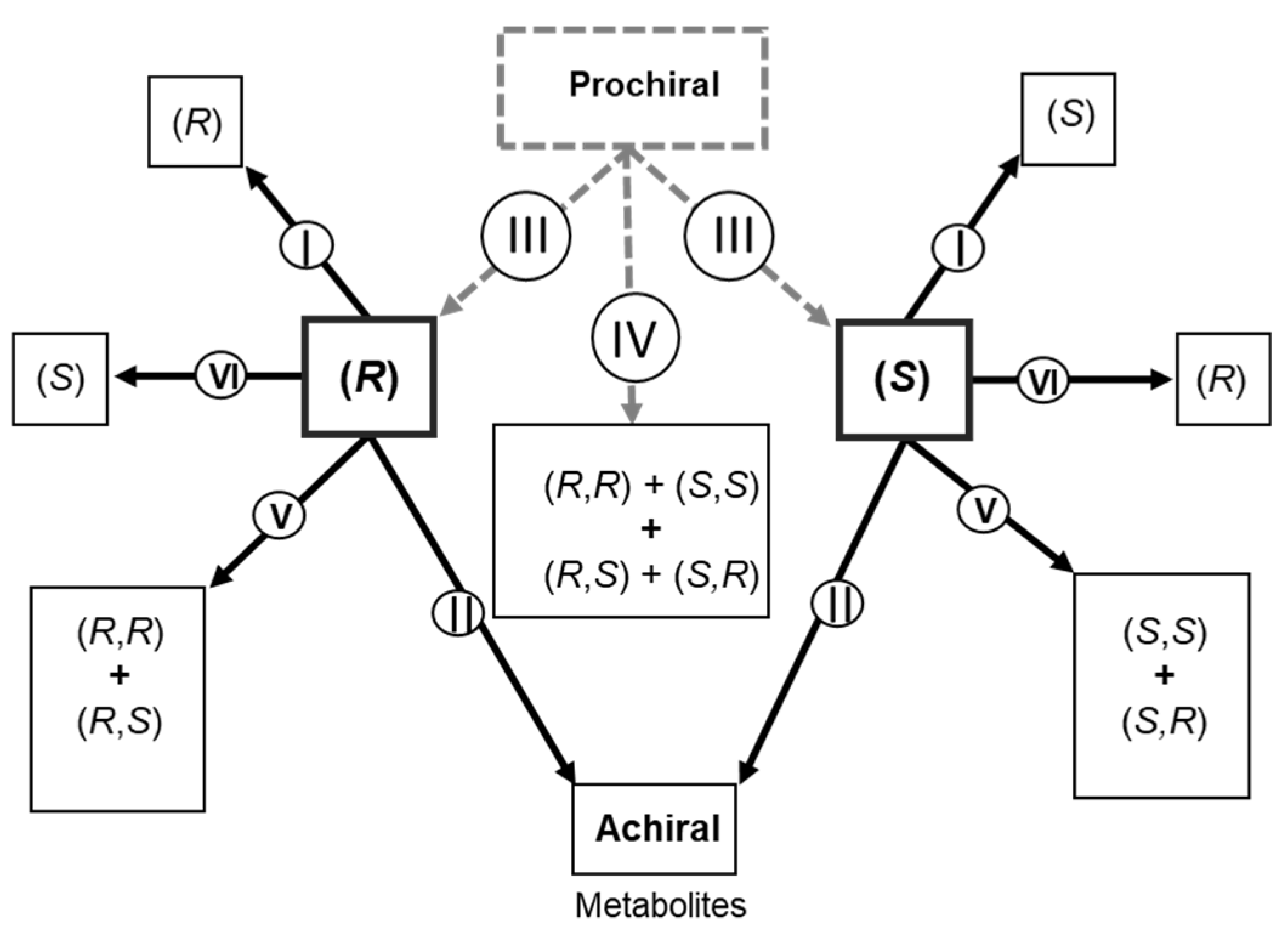 Molecules 26 03113 g001 Molecules 26 03113 g001