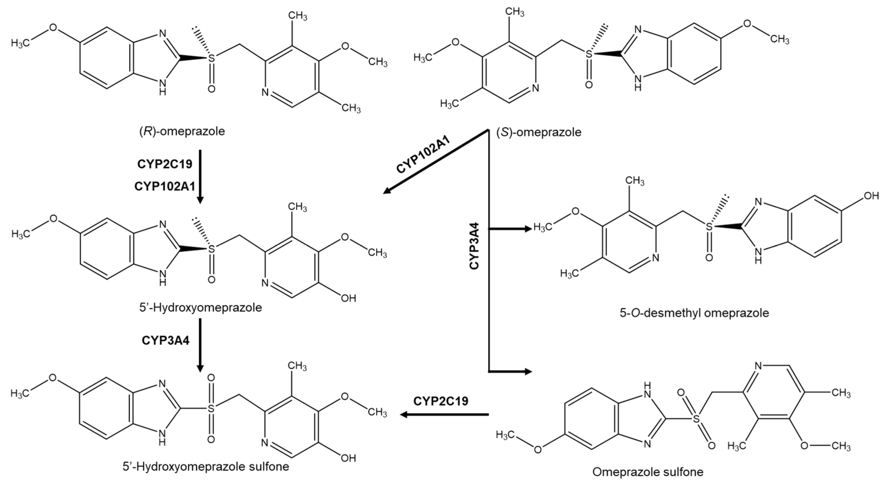 Molecules 26 03113 g002 Molecules 26 03113 g002