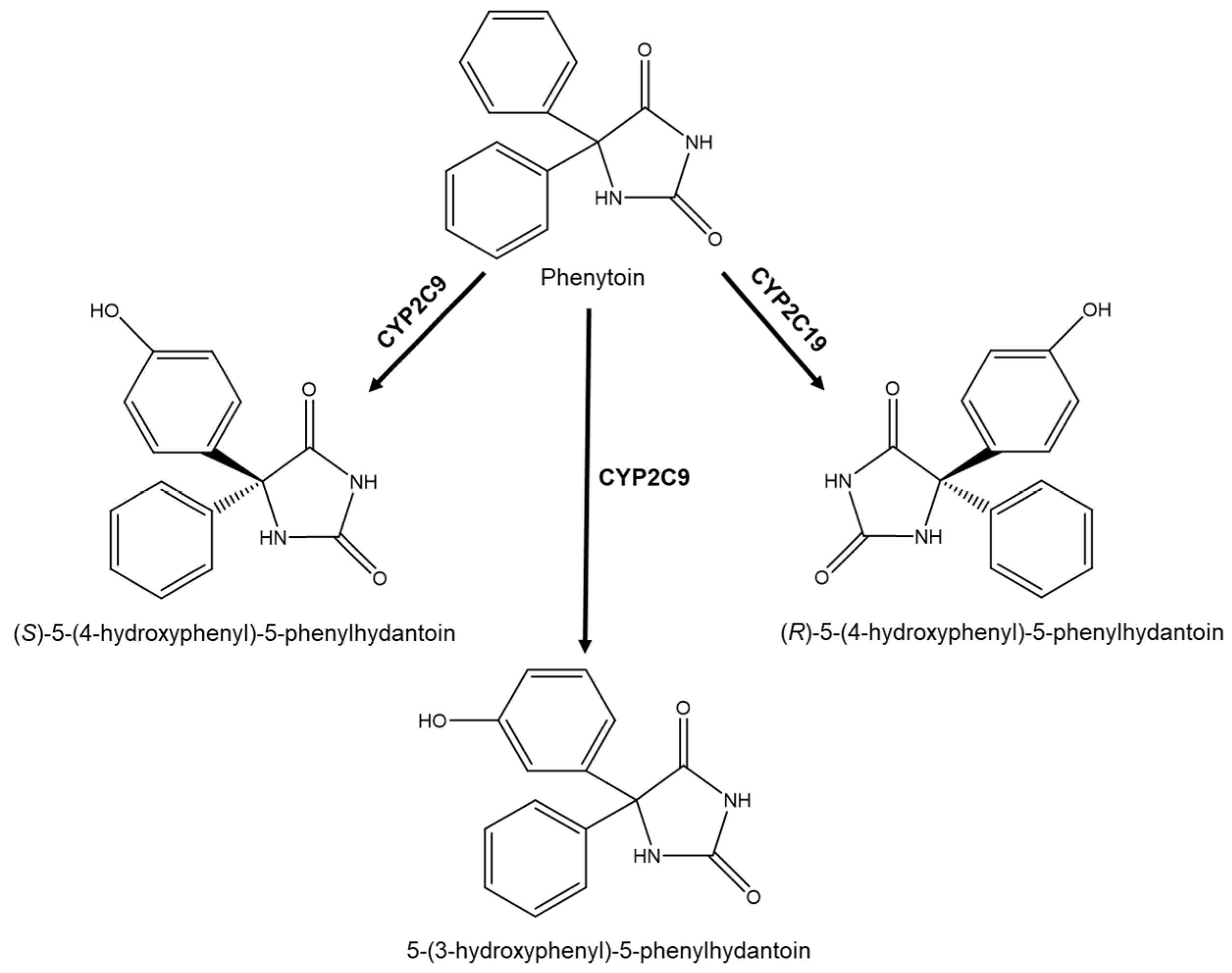 Molecules 26 03113 g003 Molecules 26 03113 g003