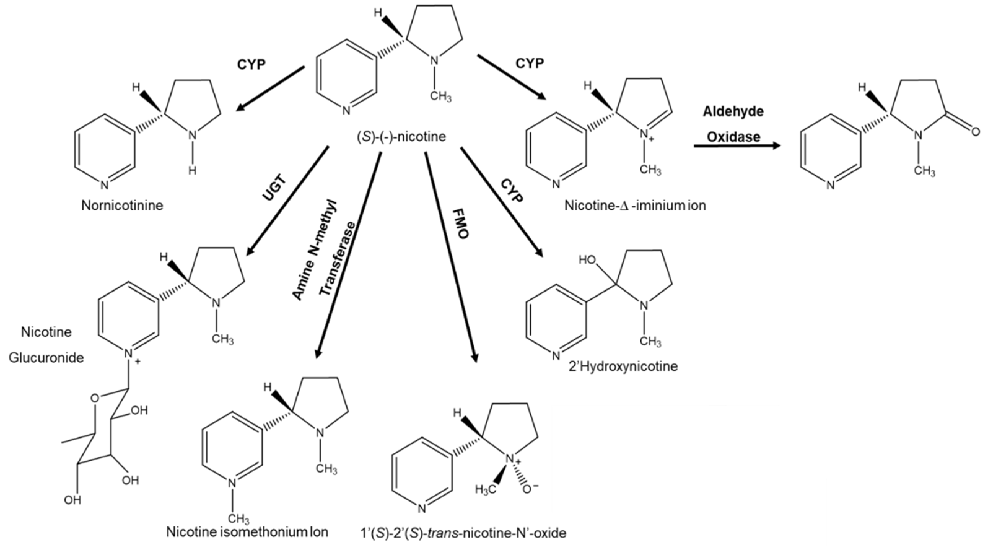 Molecules 26 03113 g006 Molecules 26 03113 g006