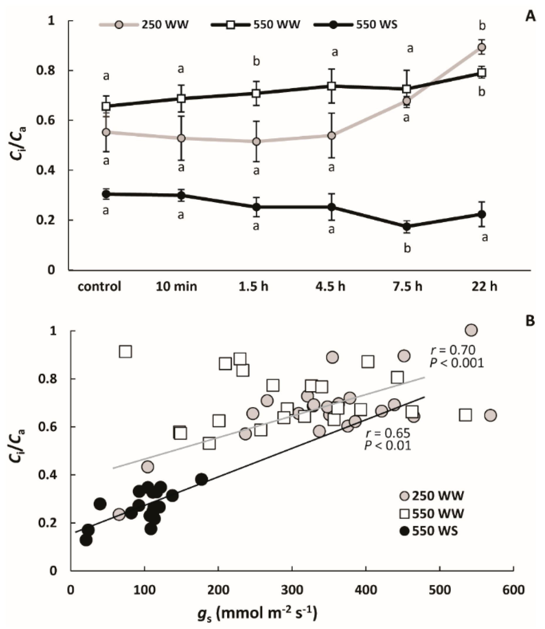 Molecules 26 03114 g004