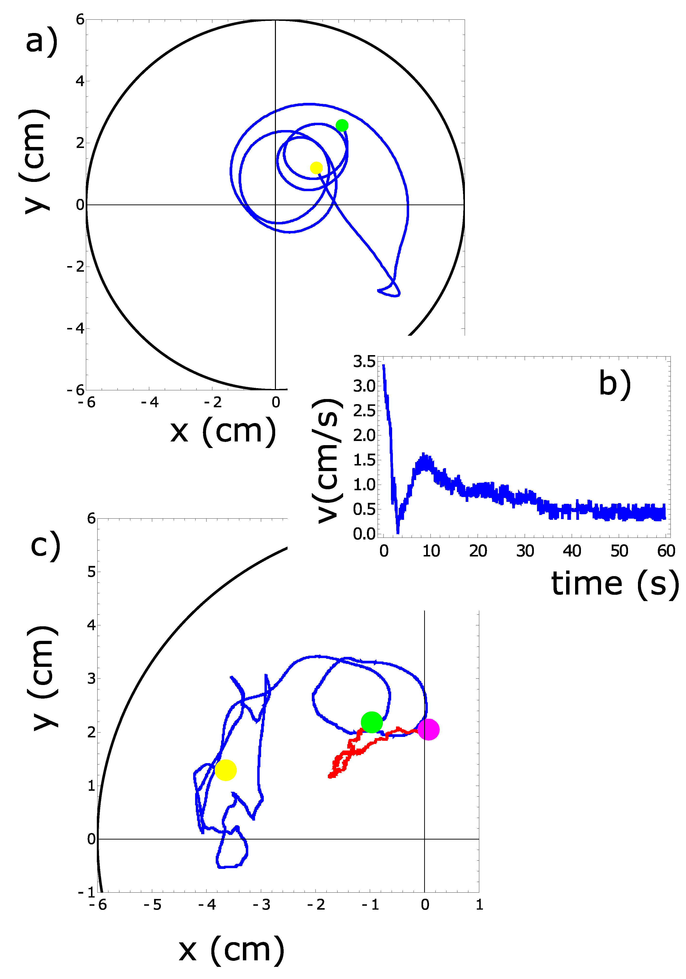 Molecules 26 03116 g001 Molecules 26 03116 g001
