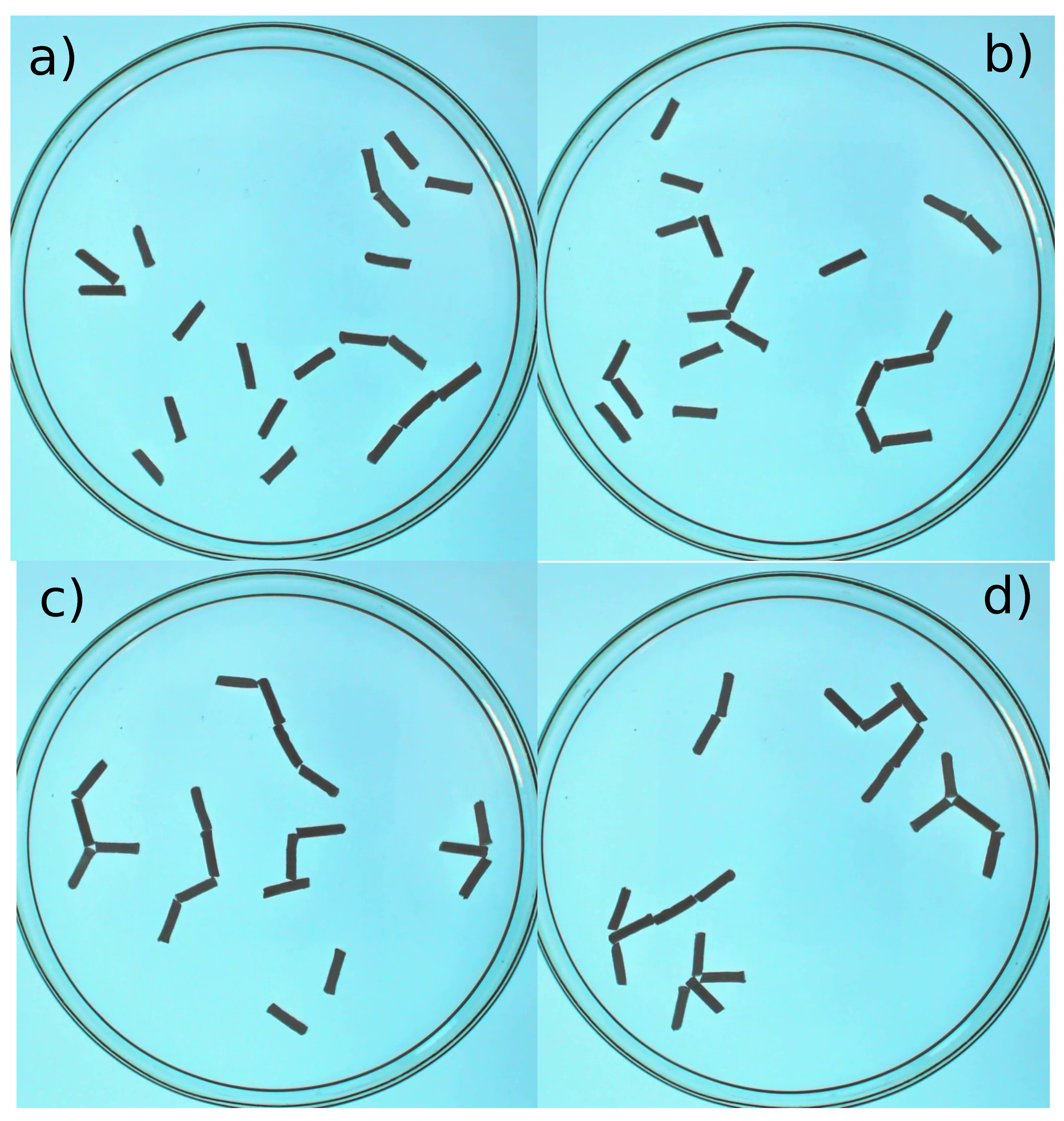 Molecules 26 03116 g017 Molecules 26 03116 g017