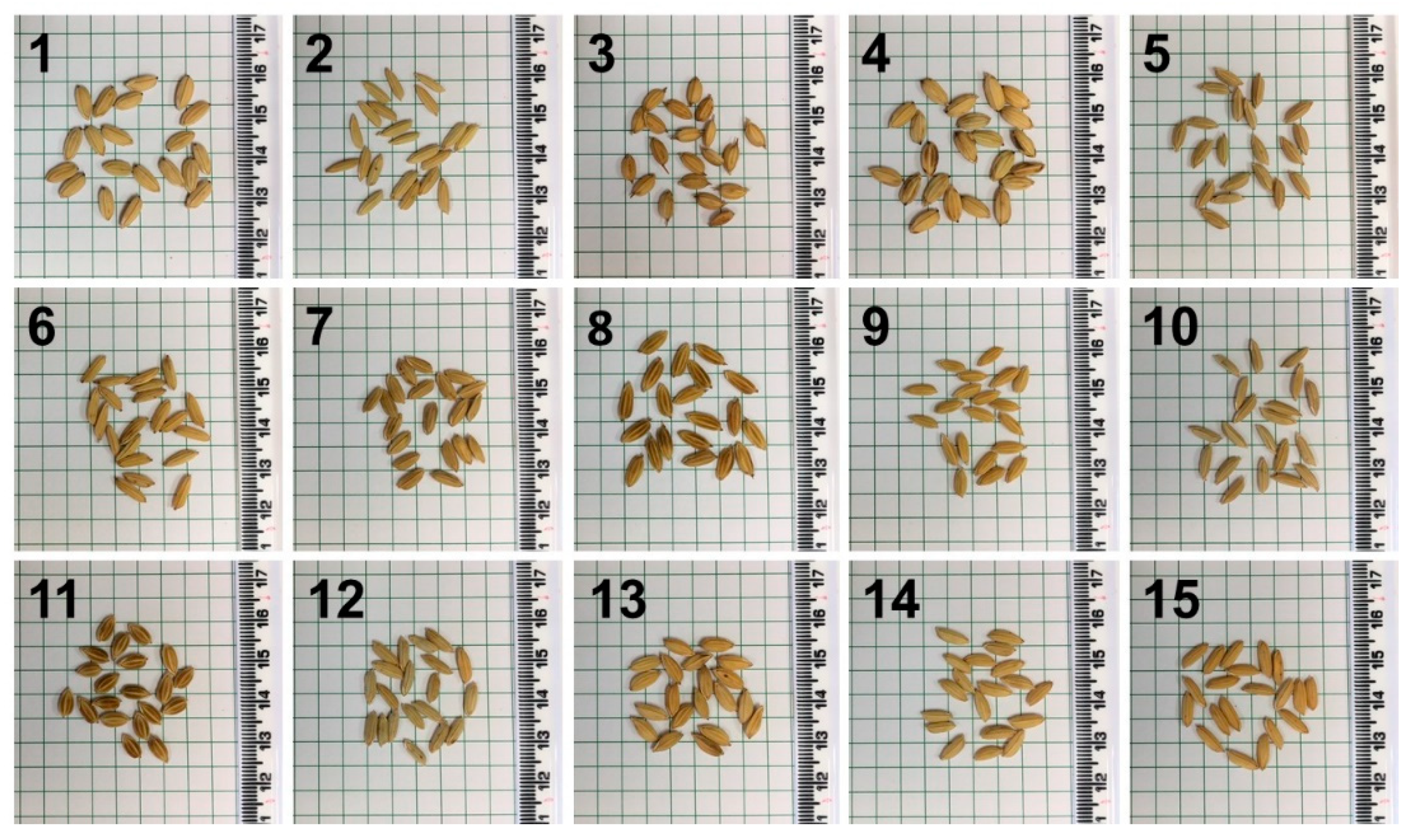 Molecules 26 03124 g004 Molecules 26 03124 g004