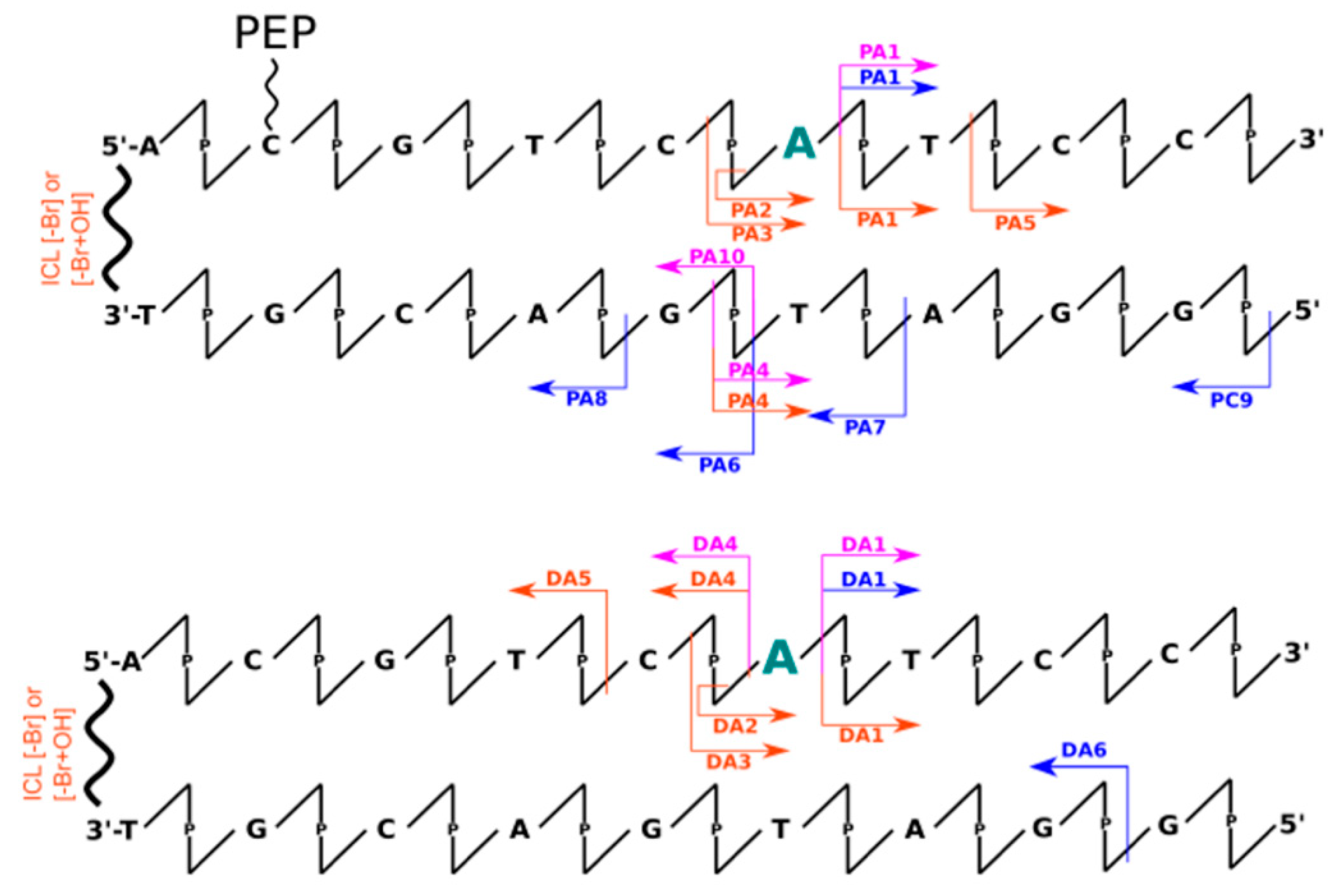 Molecules 26 03132 g001