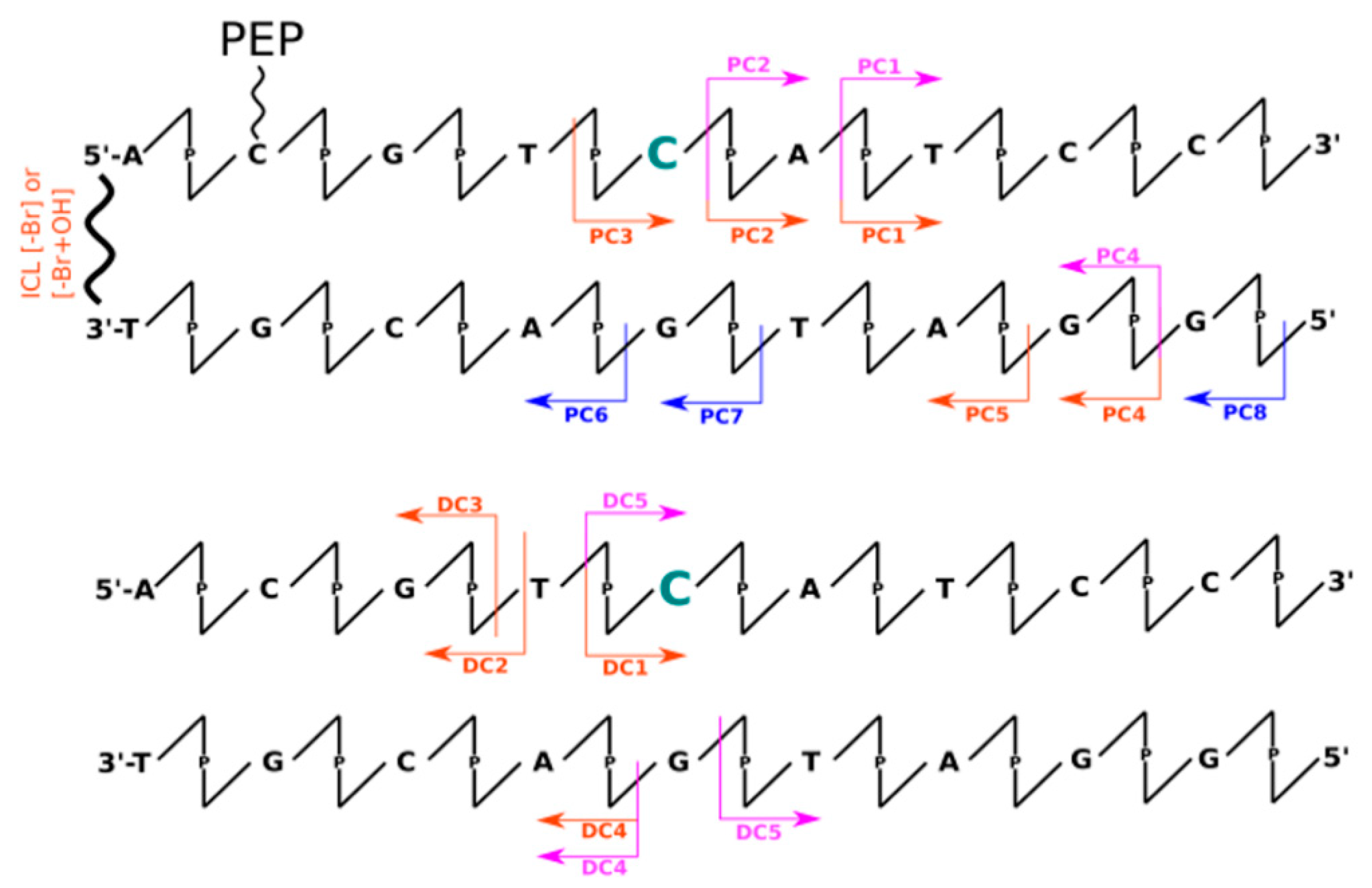 Molecules 26 03132 g002