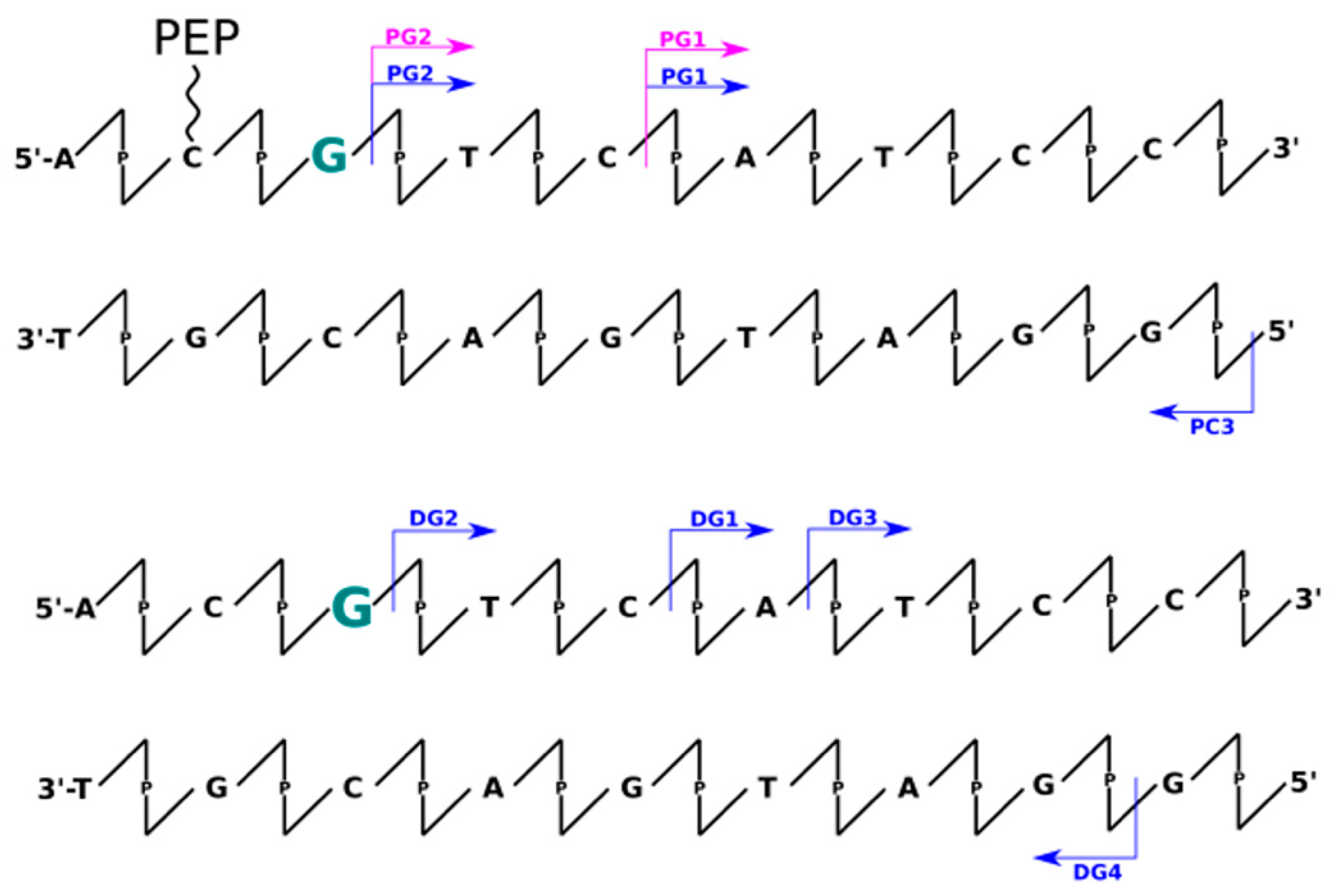 Molecules 26 03132 g003