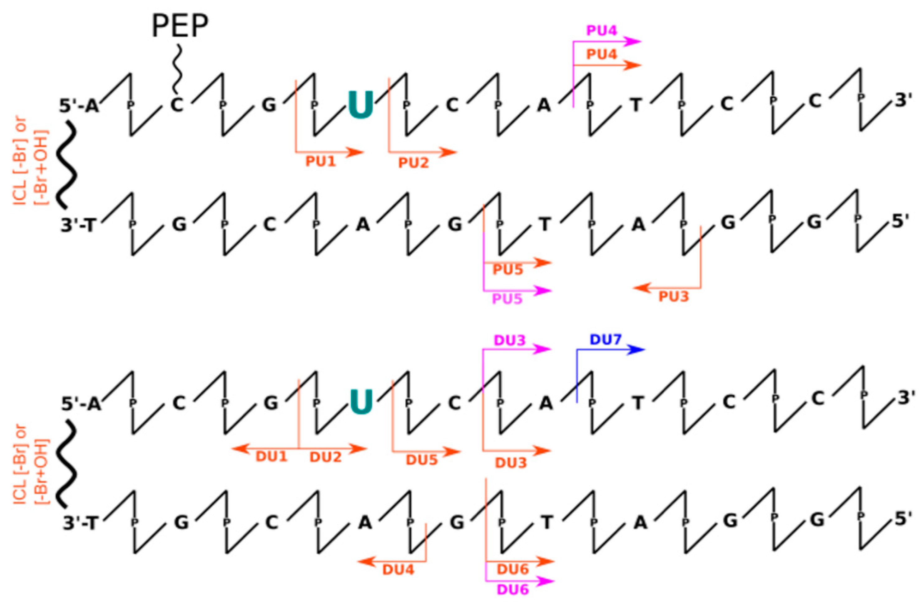 Molecules 26 03132 g004