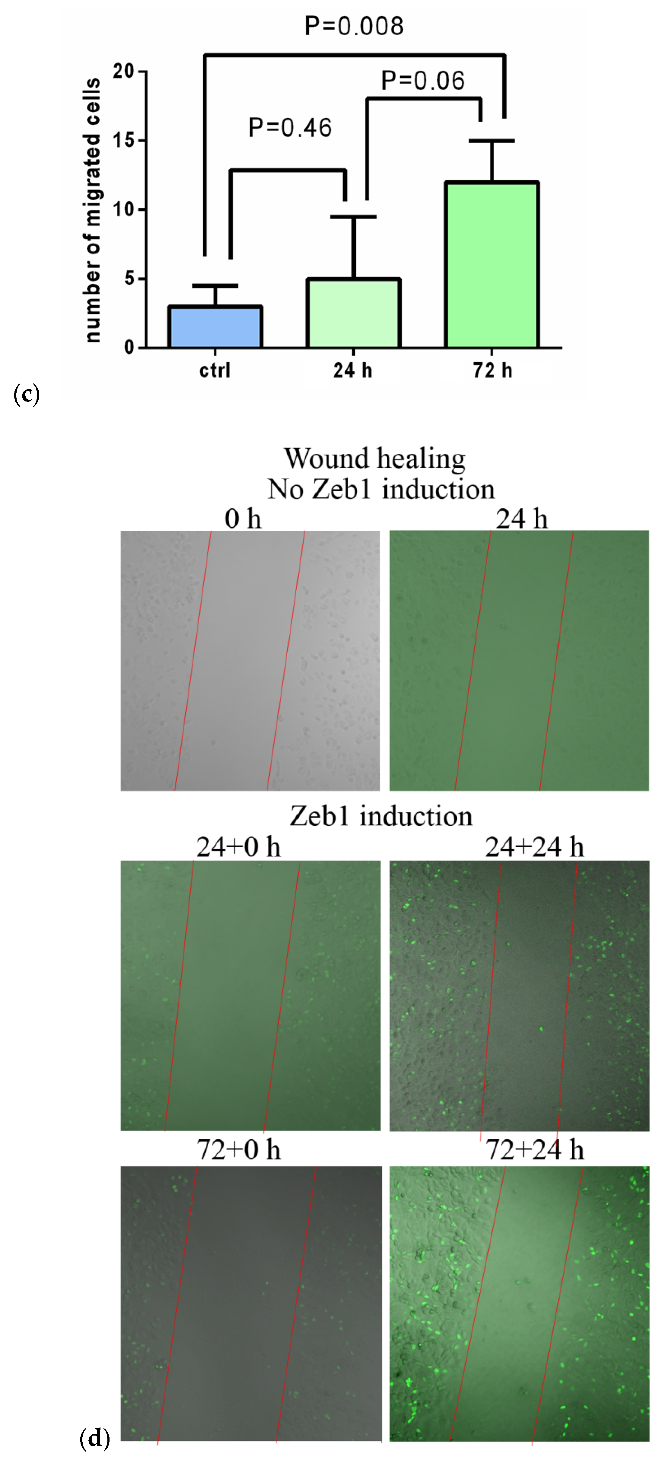 Molecules 26 03143 g001b Molecules 26 03143 g001b
