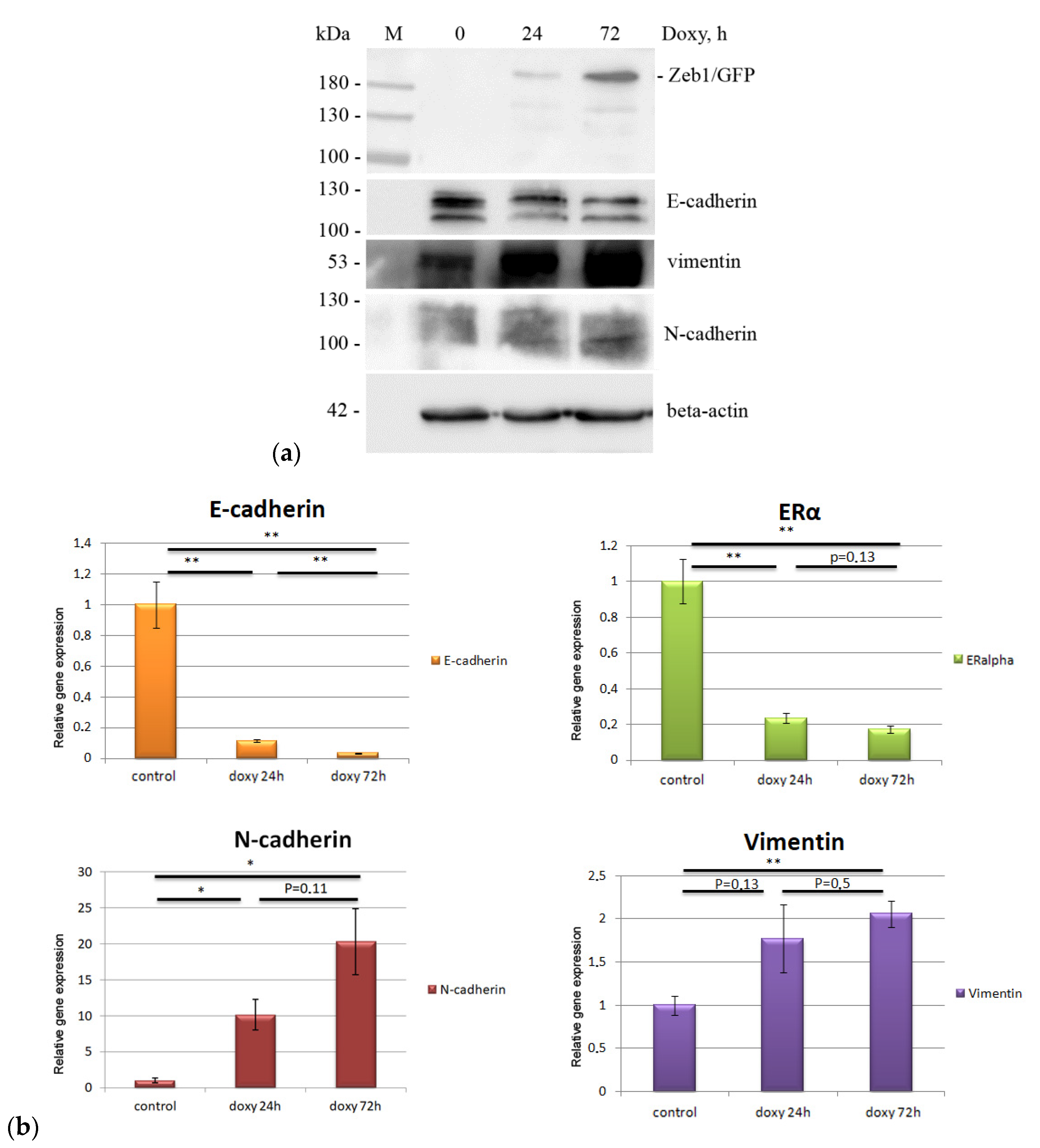 Molecules 26 03143 g002 Molecules 26 03143 g002