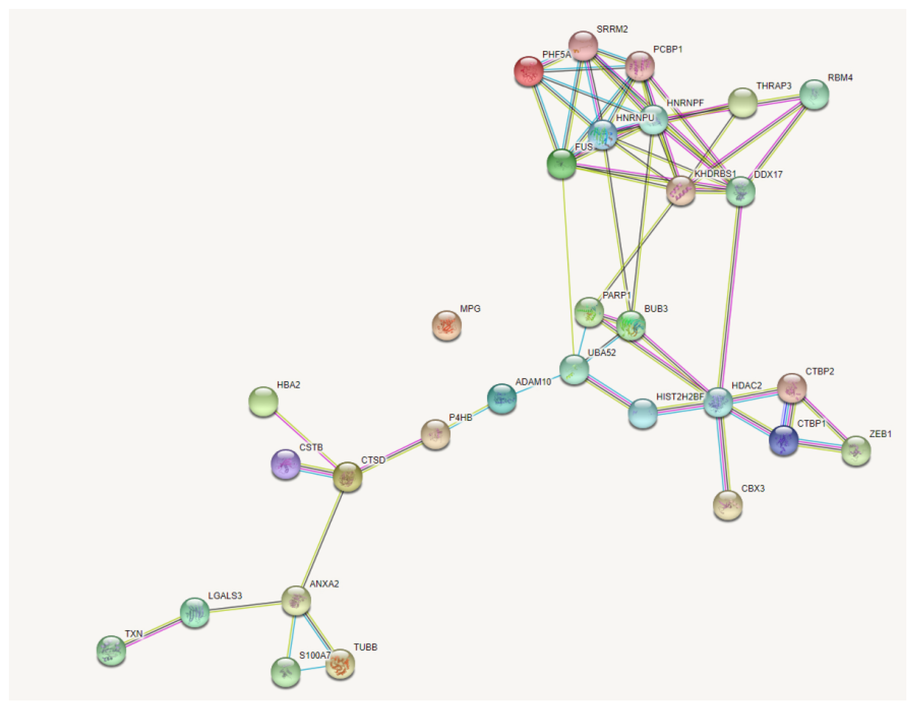Molecules 26 03143 g003 Molecules 26 03143 g003