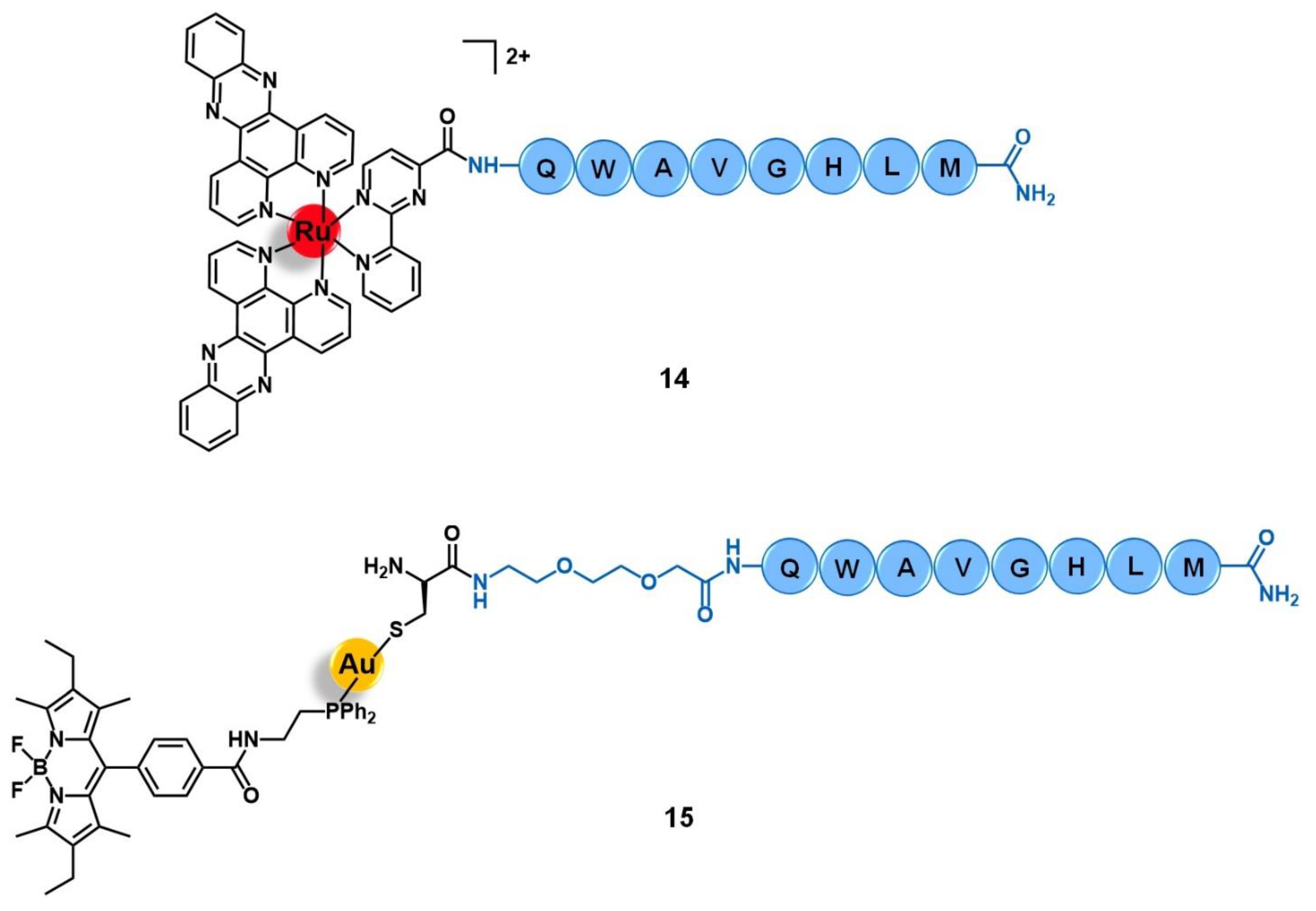 Molecules 26 03153 g006 Molecules 26 03153 g006