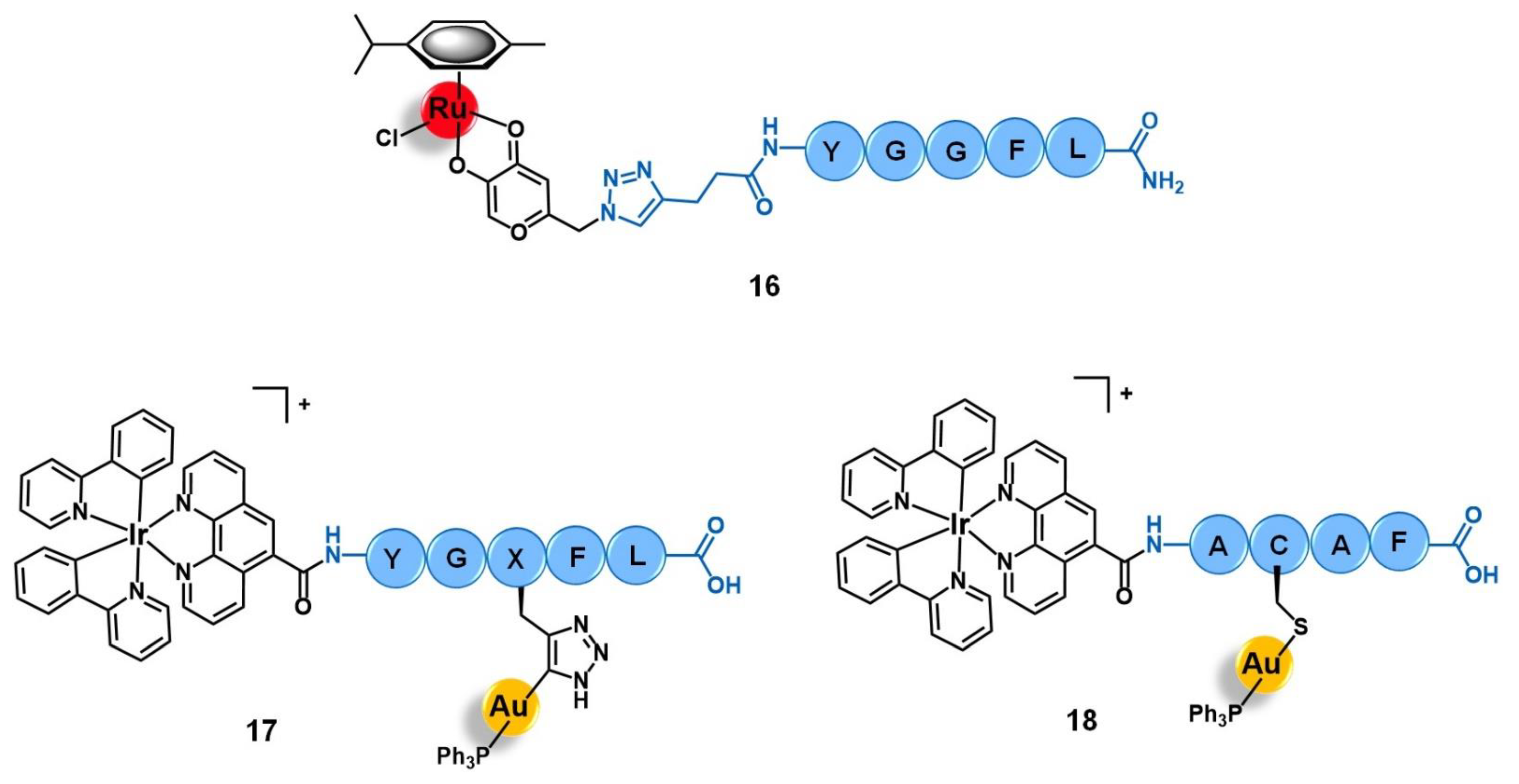Molecules 26 03153 g007 Molecules 26 03153 g007