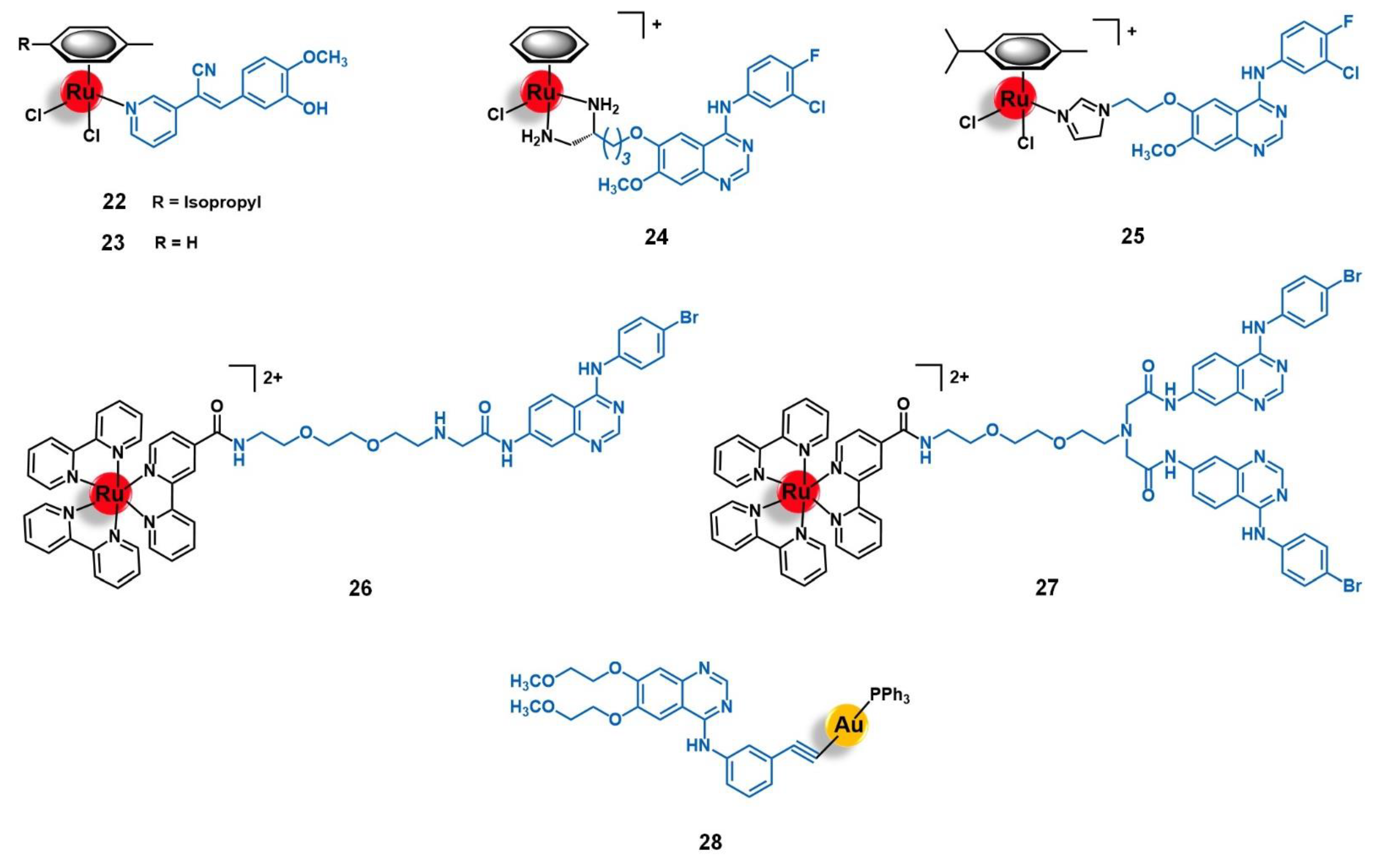 Molecules 26 03153 g009 Molecules 26 03153 g009